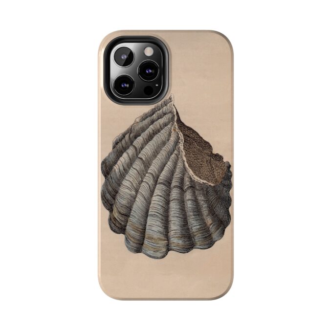 19th C. Blue & Brown Shell Phone Case - Image 26