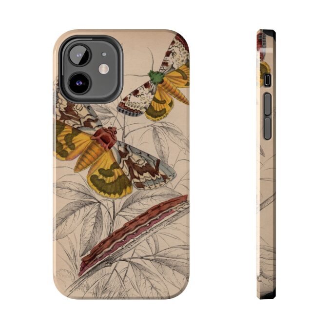 19th C. Butterfly Phone Case - Image 13