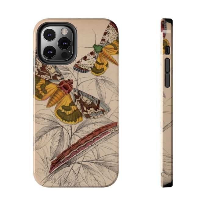 19th C. Butterfly Phone Case - Image 21