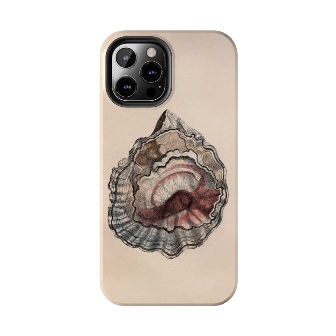 19th C. Pink and Grey Shell Phone Case - Image 26