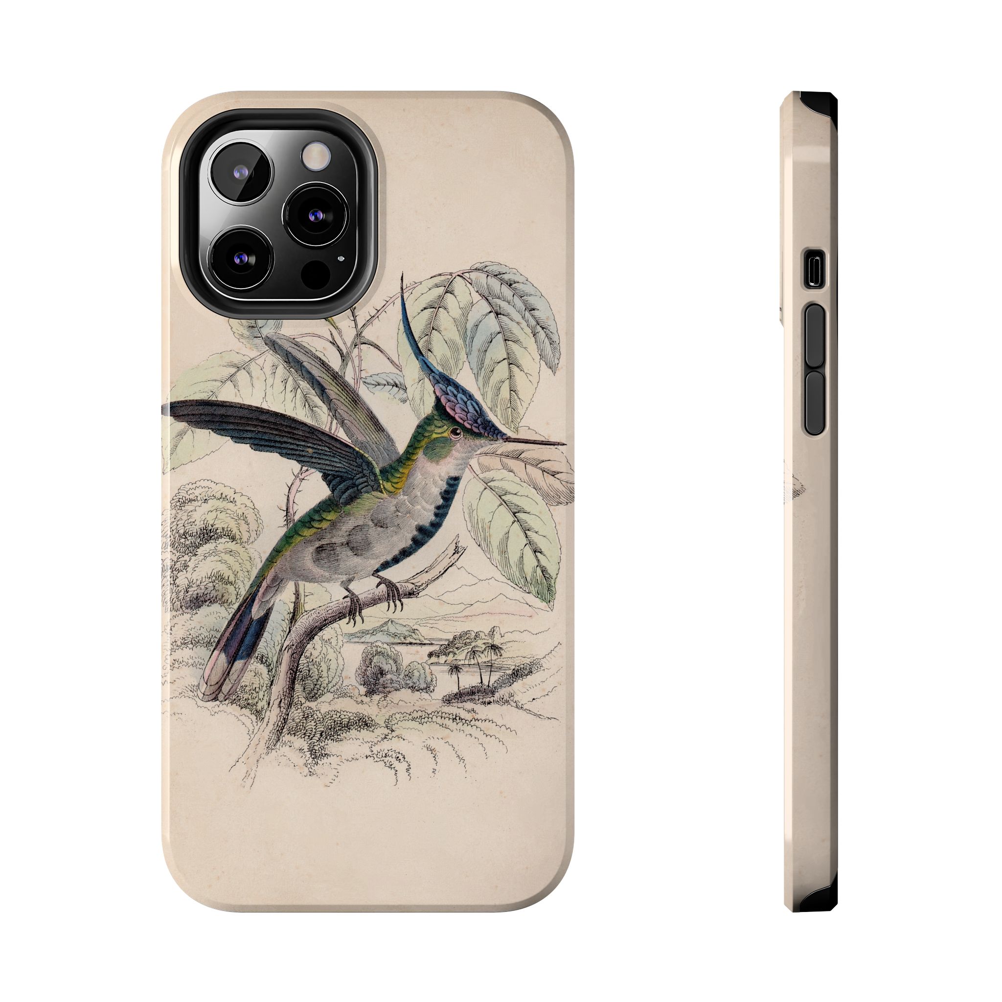 Loddiges Hummingbird Phone Case - Image 25