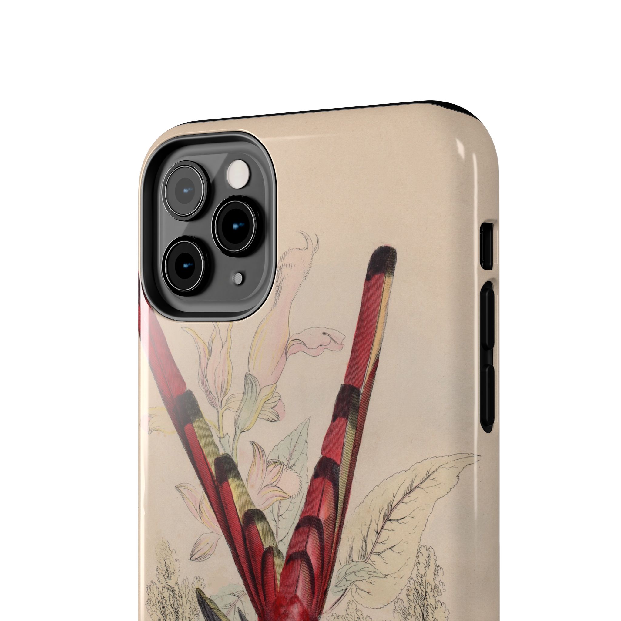 Red Tailed Hummingbird Phone Case - Image 12