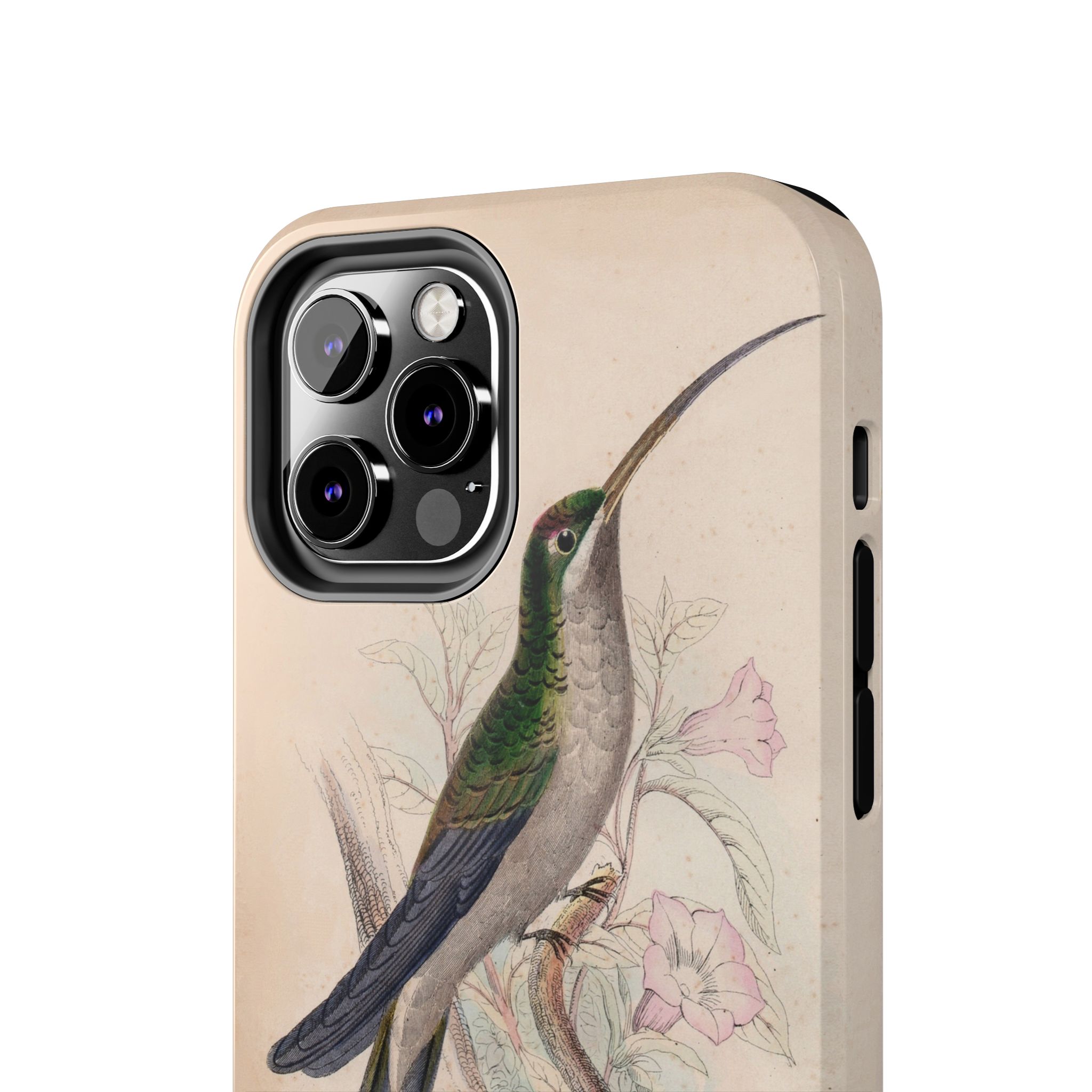Supercilious Hummingbird Phone Case - Image 24