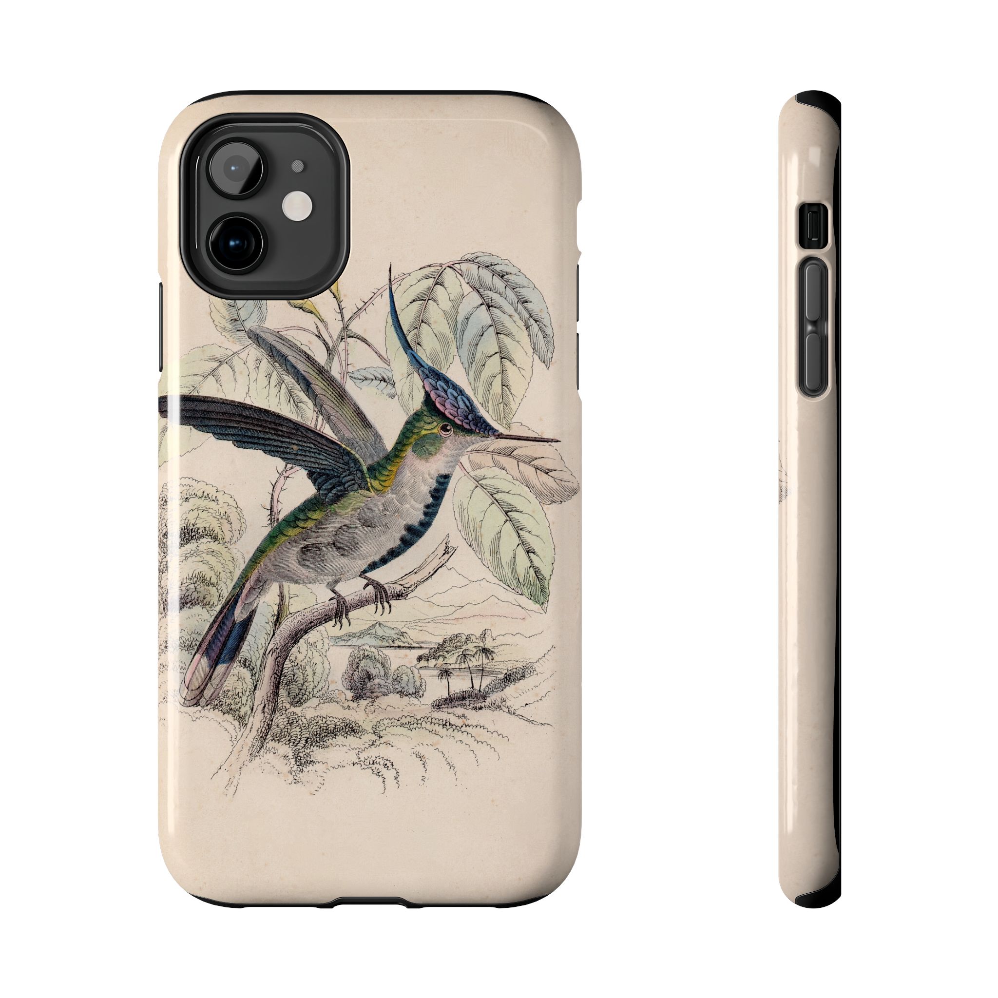 Loddiges Hummingbird Phone Case