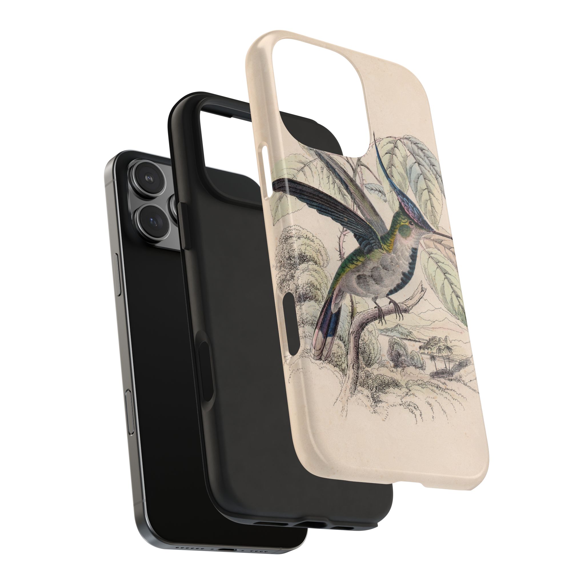 Loddiges Hummingbird Phone Case - Image 90