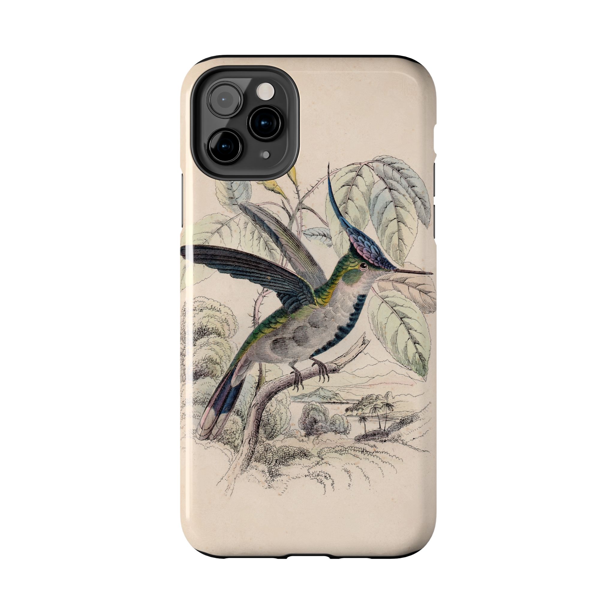 Loddiges Hummingbird Phone Case - Image 10