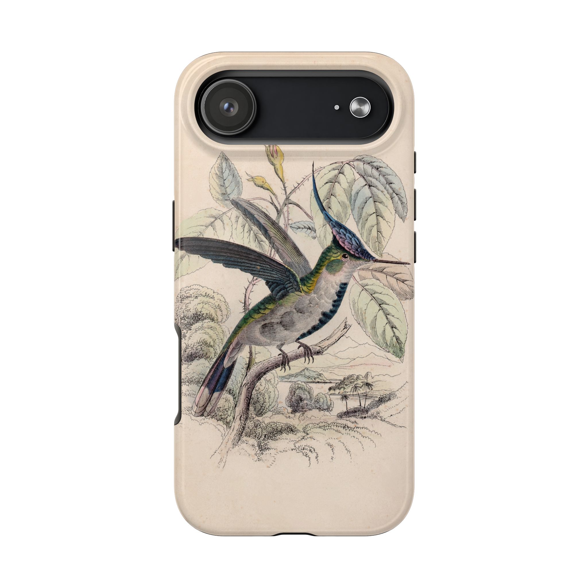 Loddiges Hummingbird Phone Case - Image 103