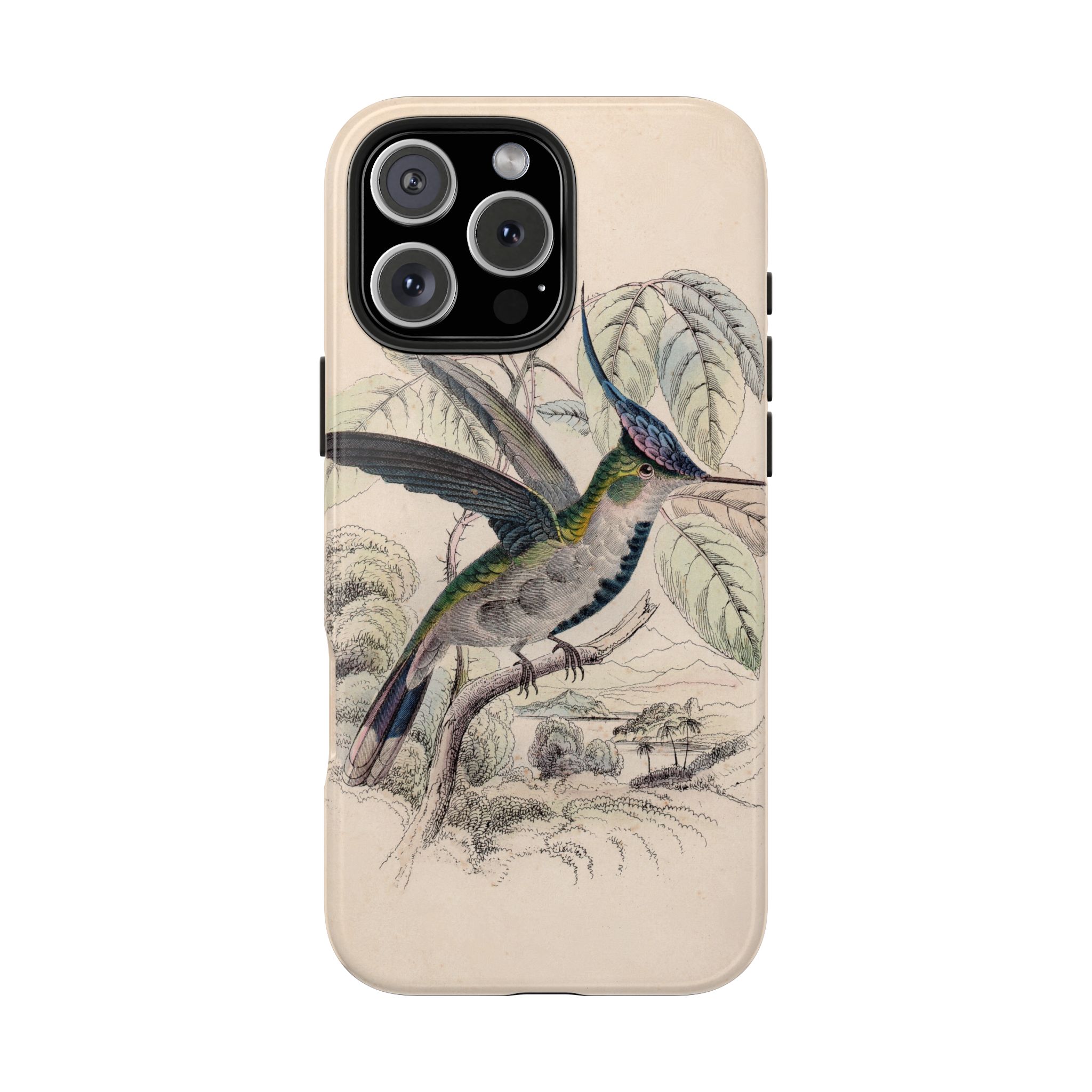 Loddiges Hummingbird Phone Case - Image 88