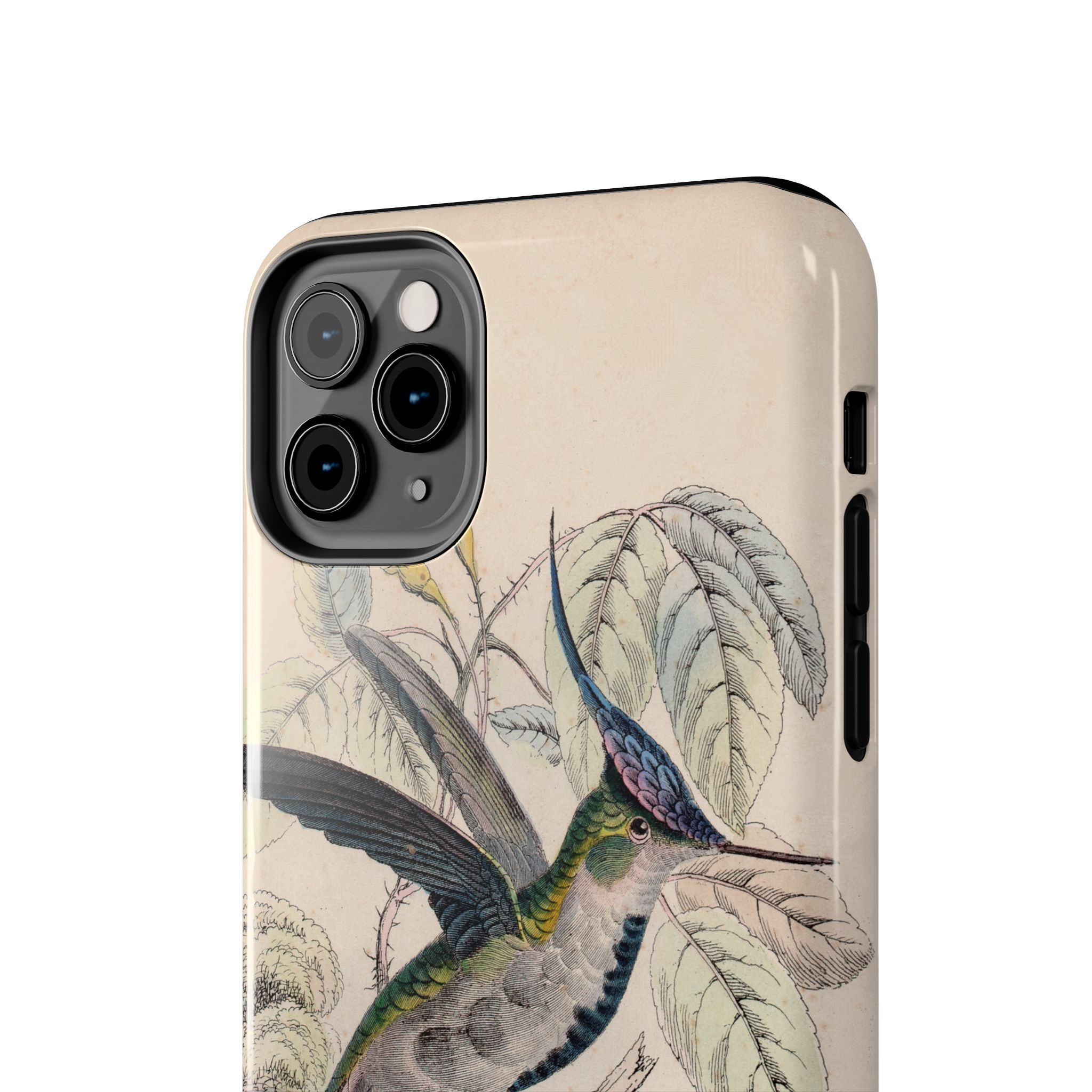 Loddiges Hummingbird Phone Case - Image 12