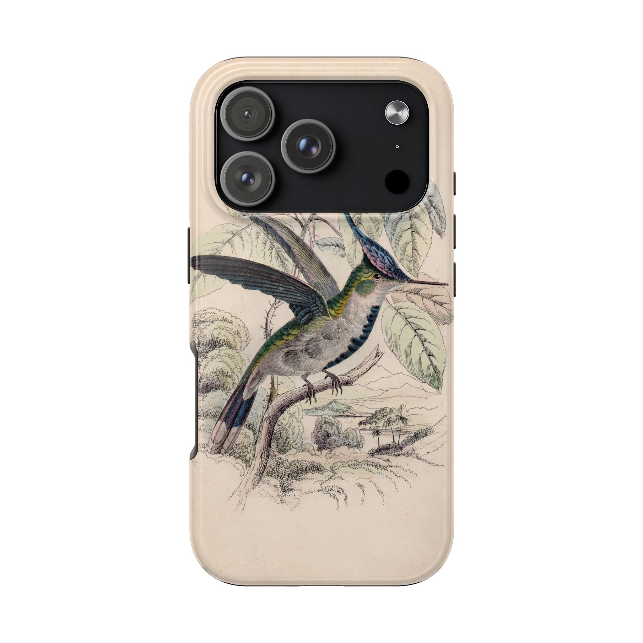 Loddiges Hummingbird Phone Case - Image 101