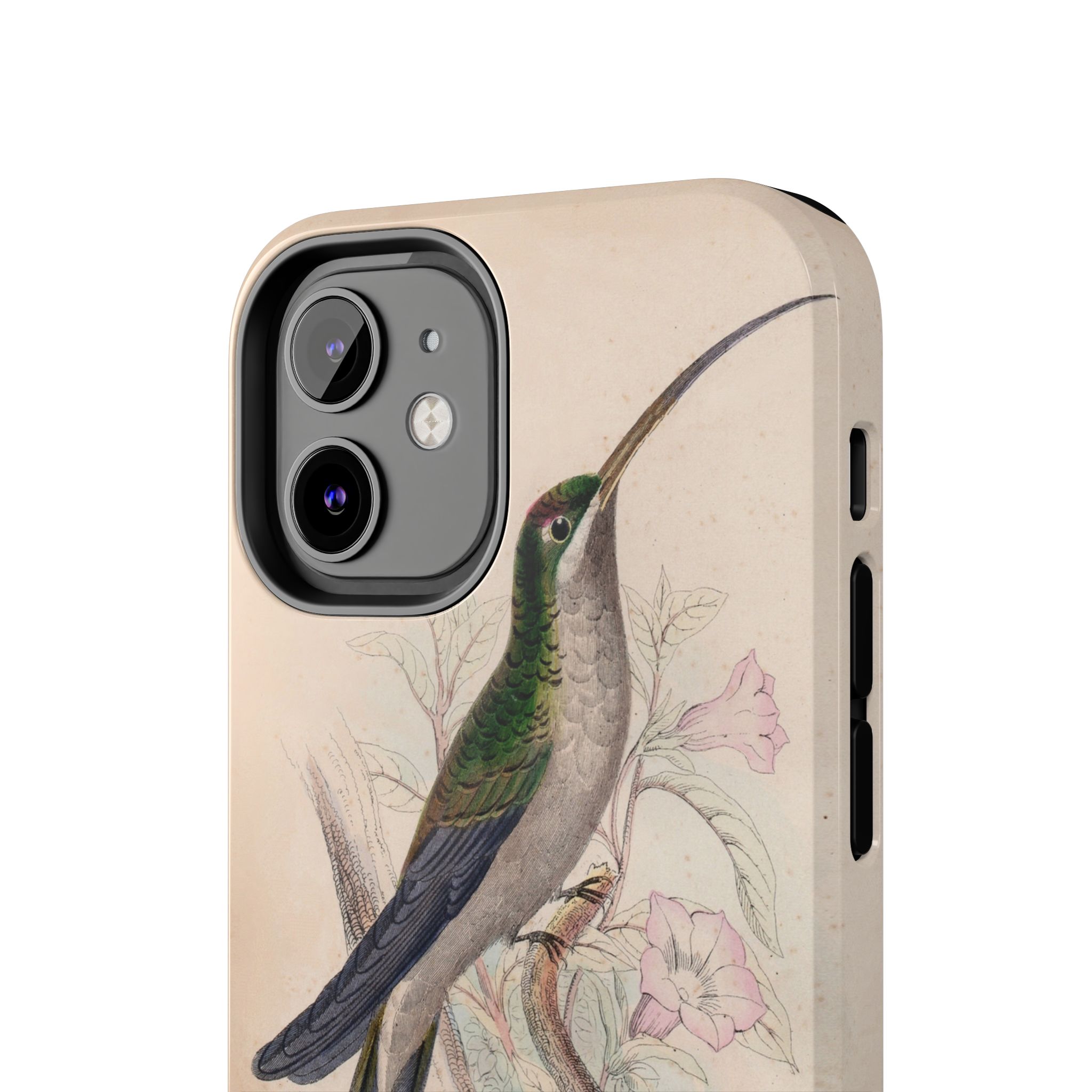 Supercilious Hummingbird Phone Case - Image 20