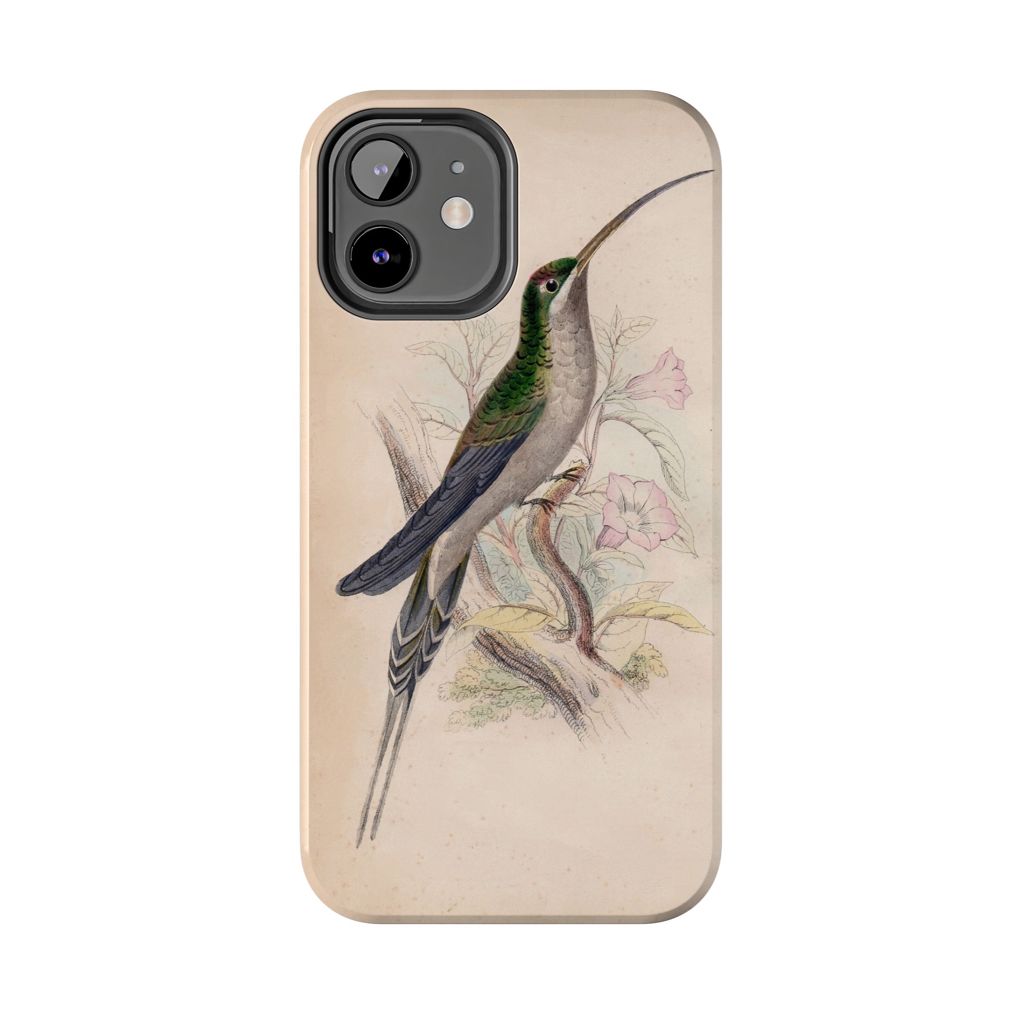 Supercilious Hummingbird Phone Case - Image 14