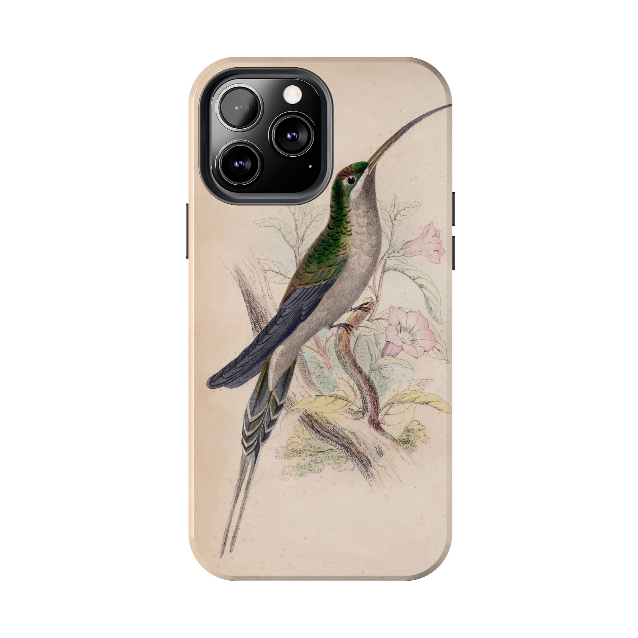Supercilious Hummingbird Phone Case - Image 38
