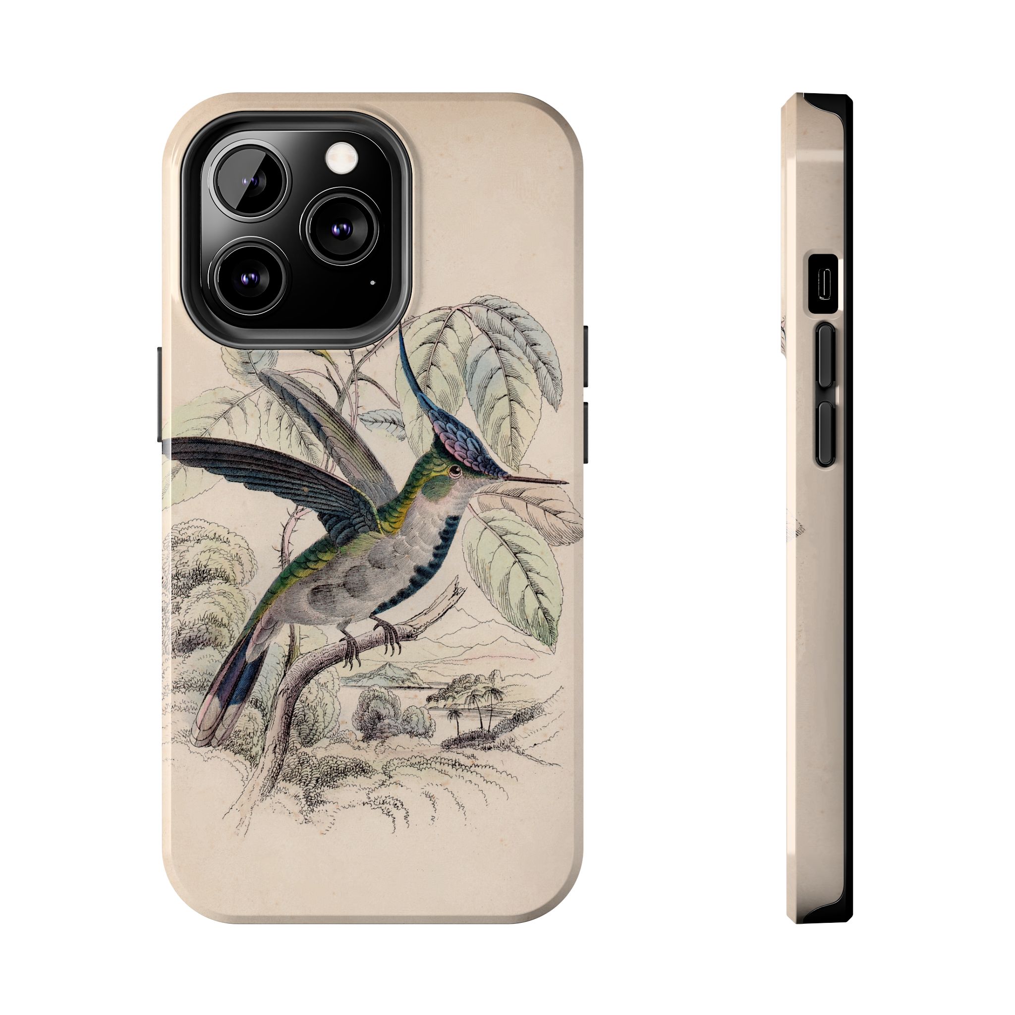 Loddiges Hummingbird Phone Case - Image 37