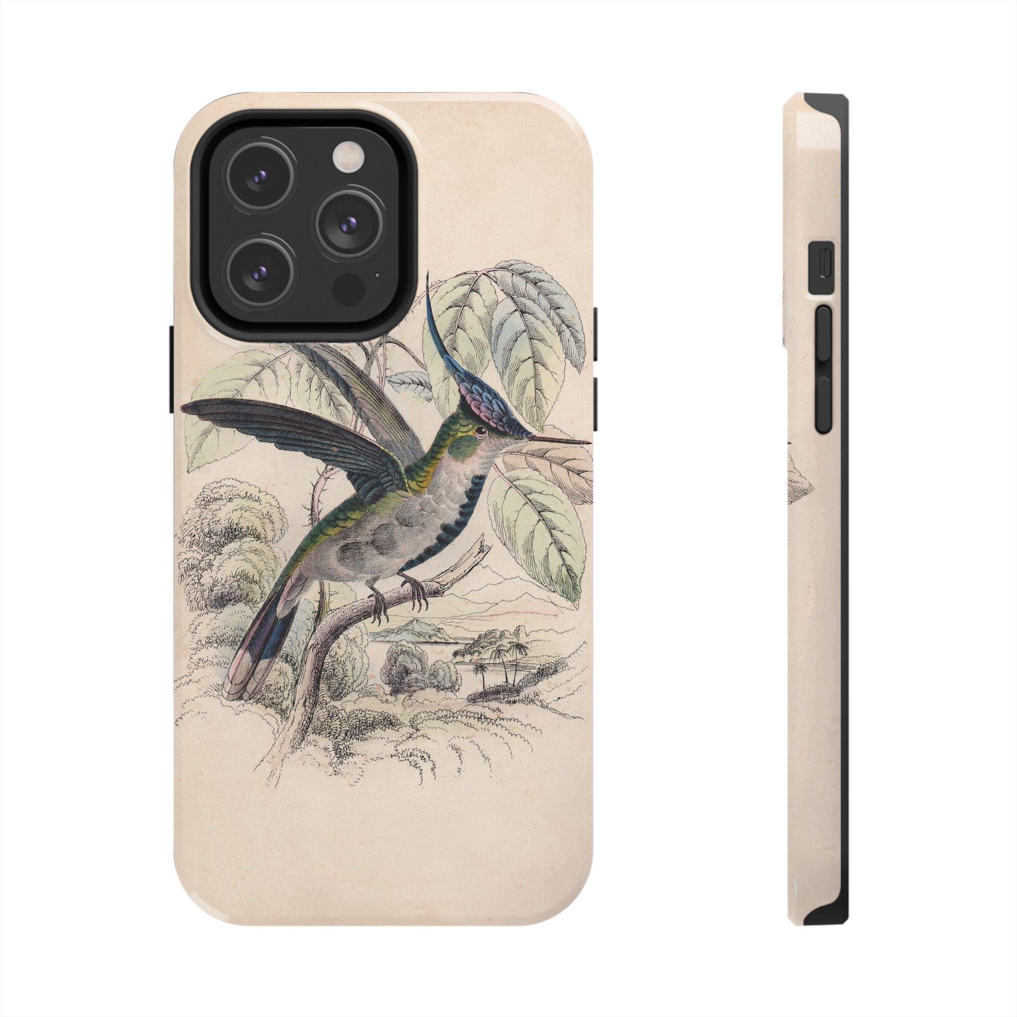 Loddiges Hummingbird Phone Case - Image 49