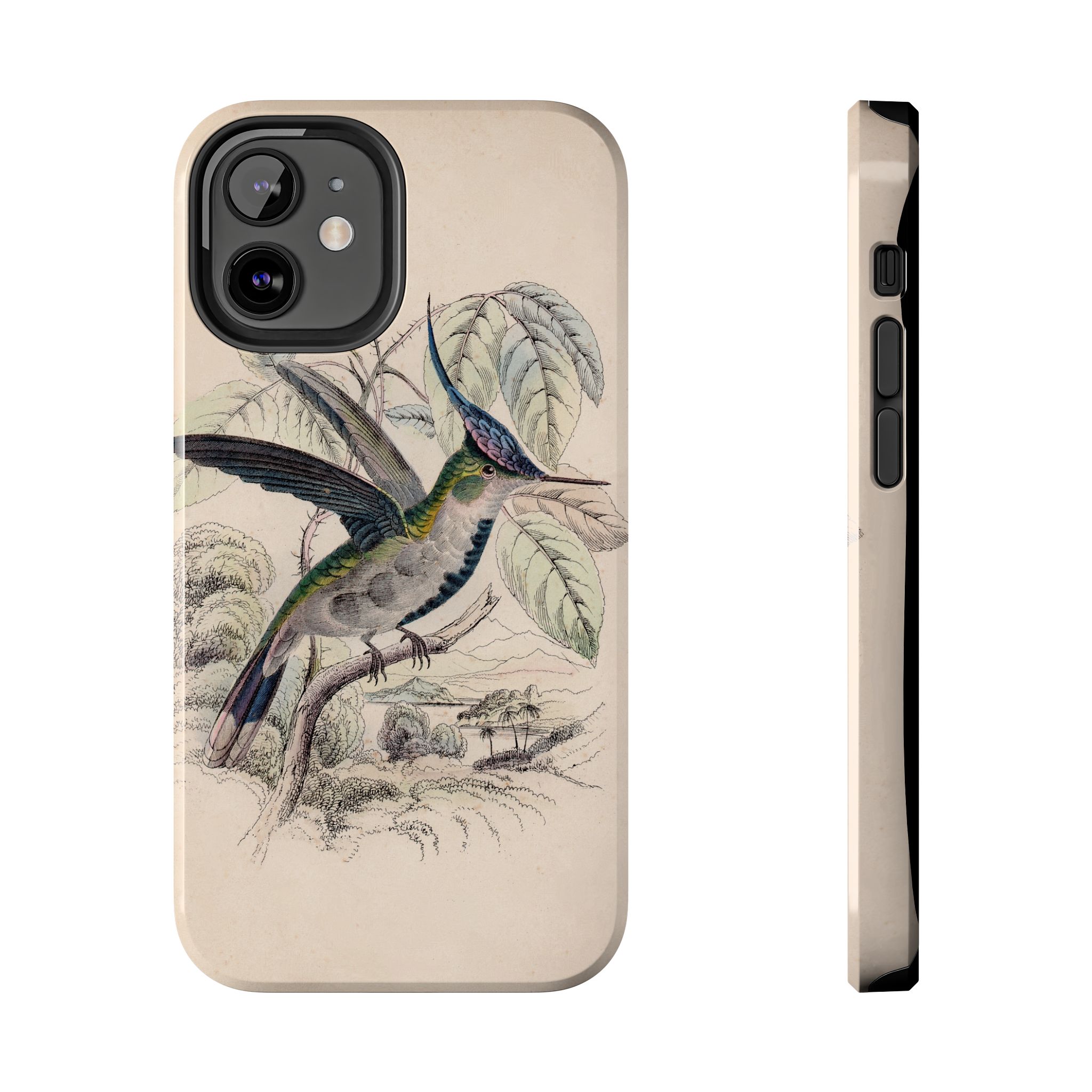 Loddiges Hummingbird Phone Case - Image 17