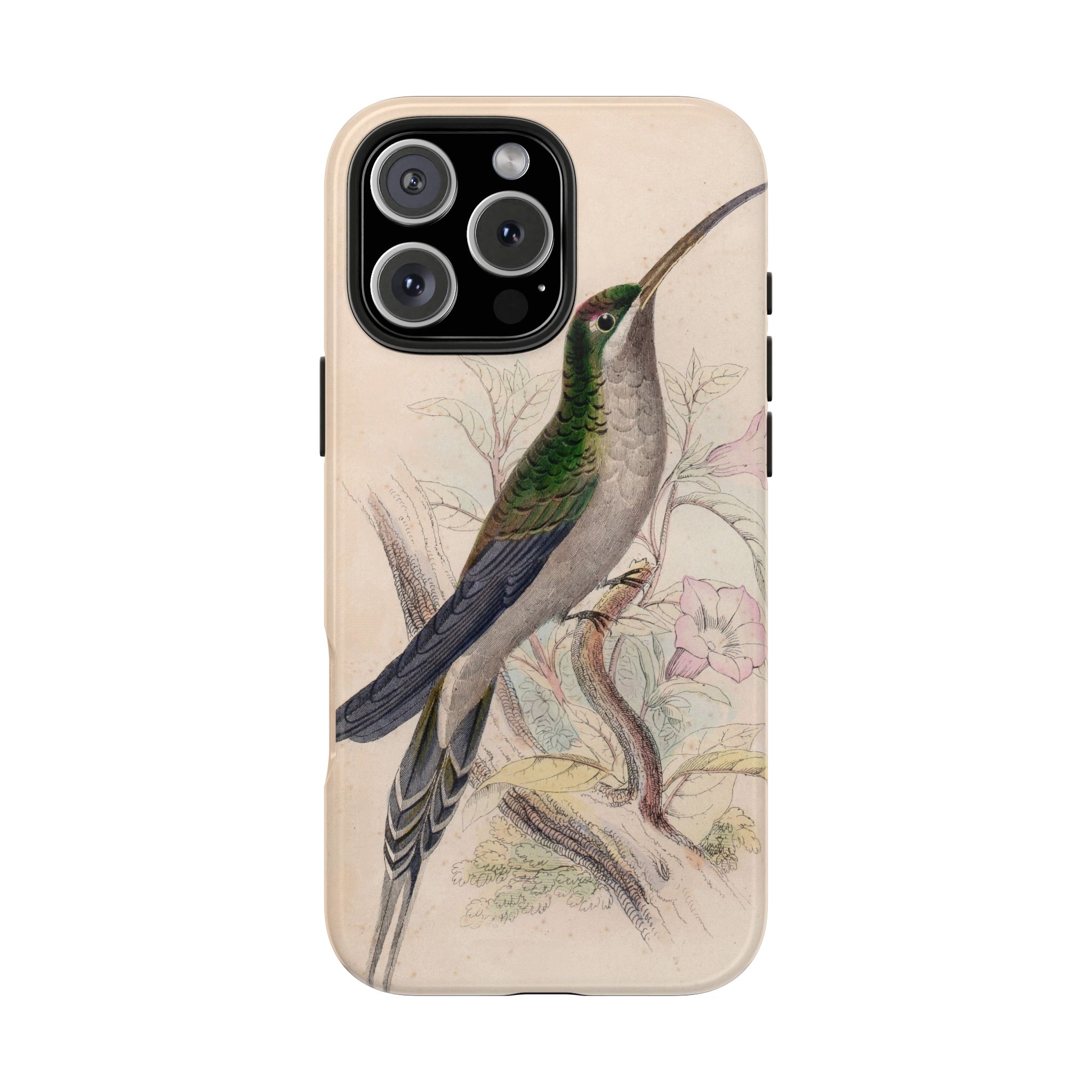Supercilious Hummingbird Phone Case - Image 69