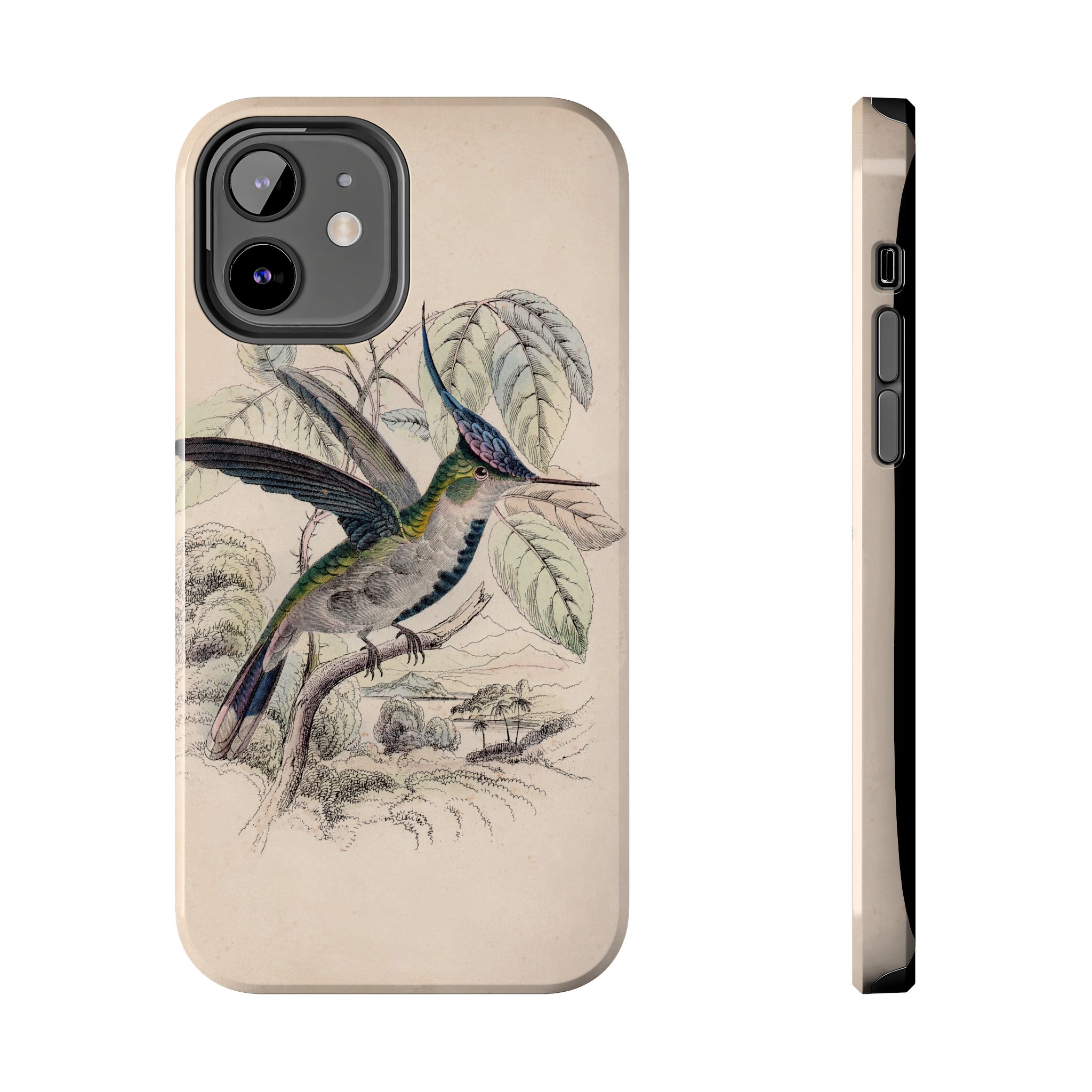 Loddiges Hummingbird Phone Case - Image 13