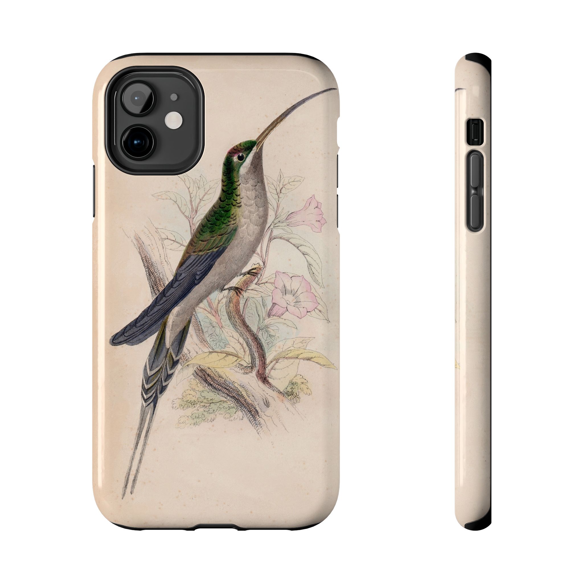 Supercilious Hummingbird Phone Case