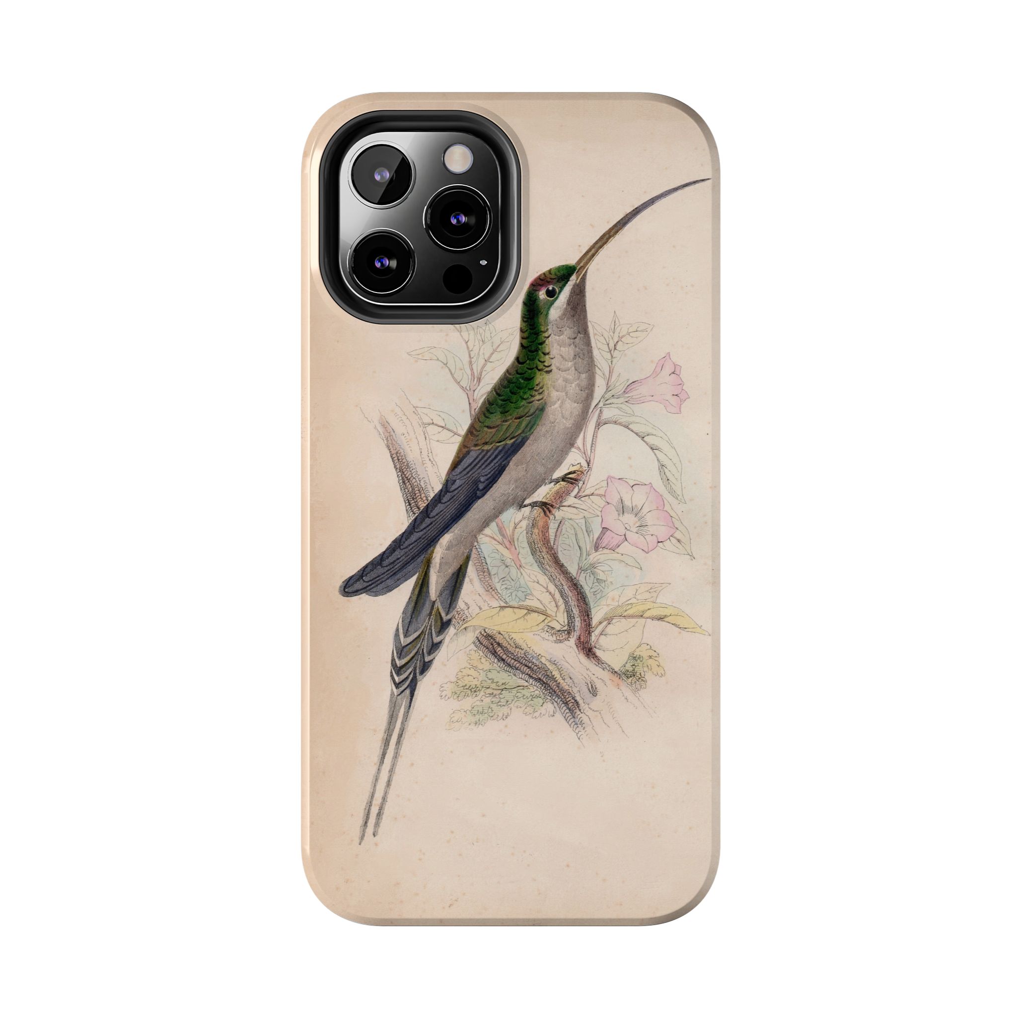 Supercilious Hummingbird Phone Case - Image 26