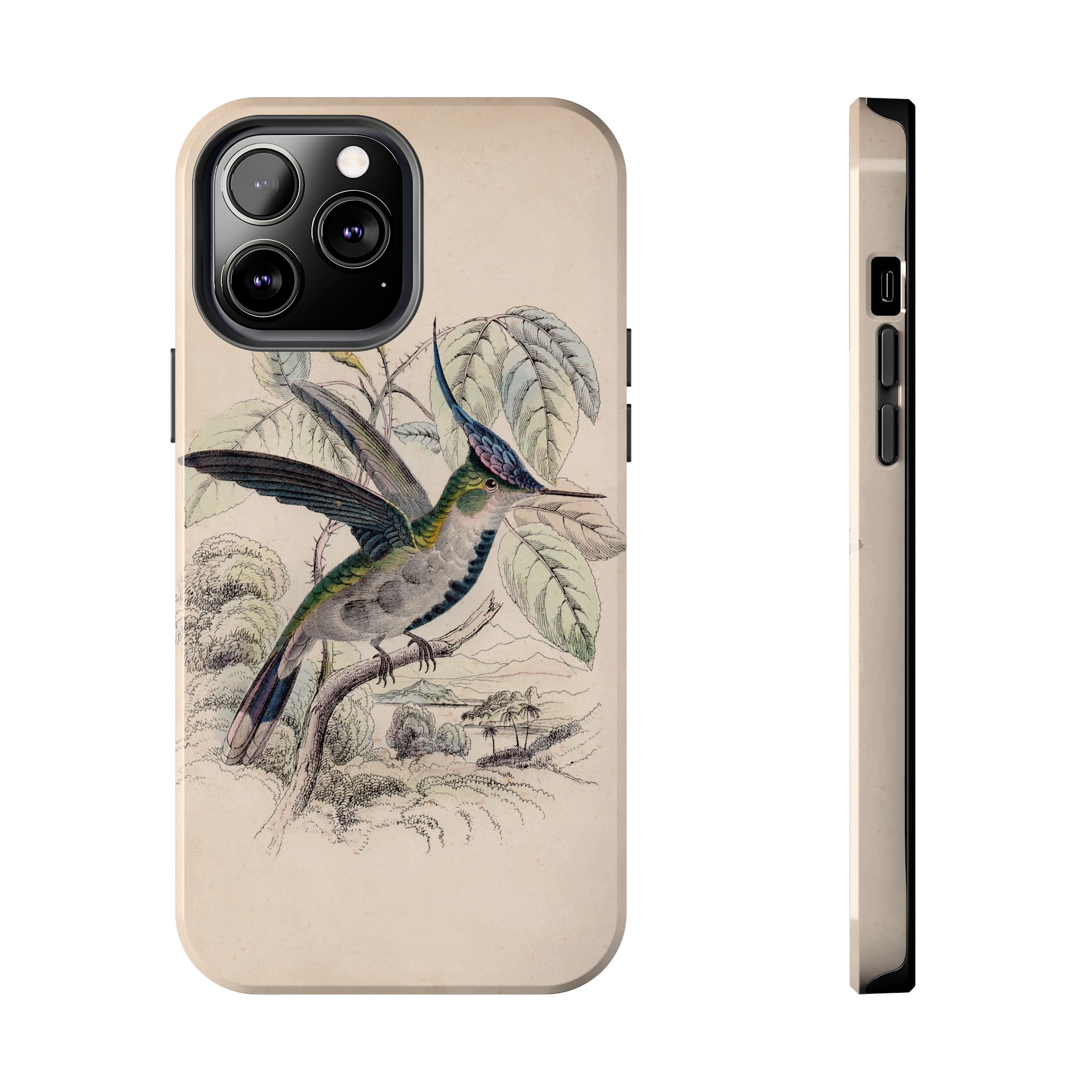 Loddiges Hummingbird Phone Case - Image 41