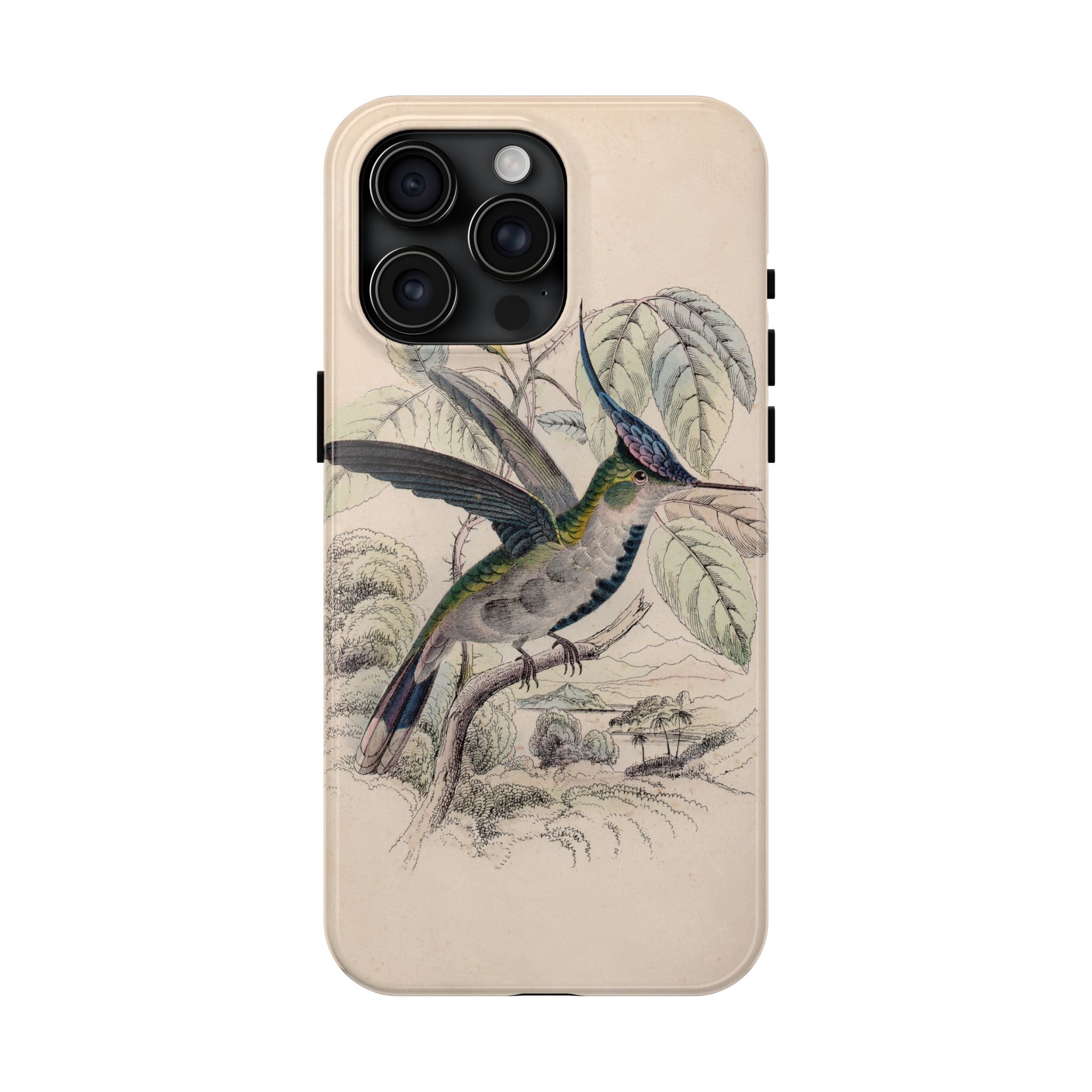 Loddiges Hummingbird Phone Case - Image 65