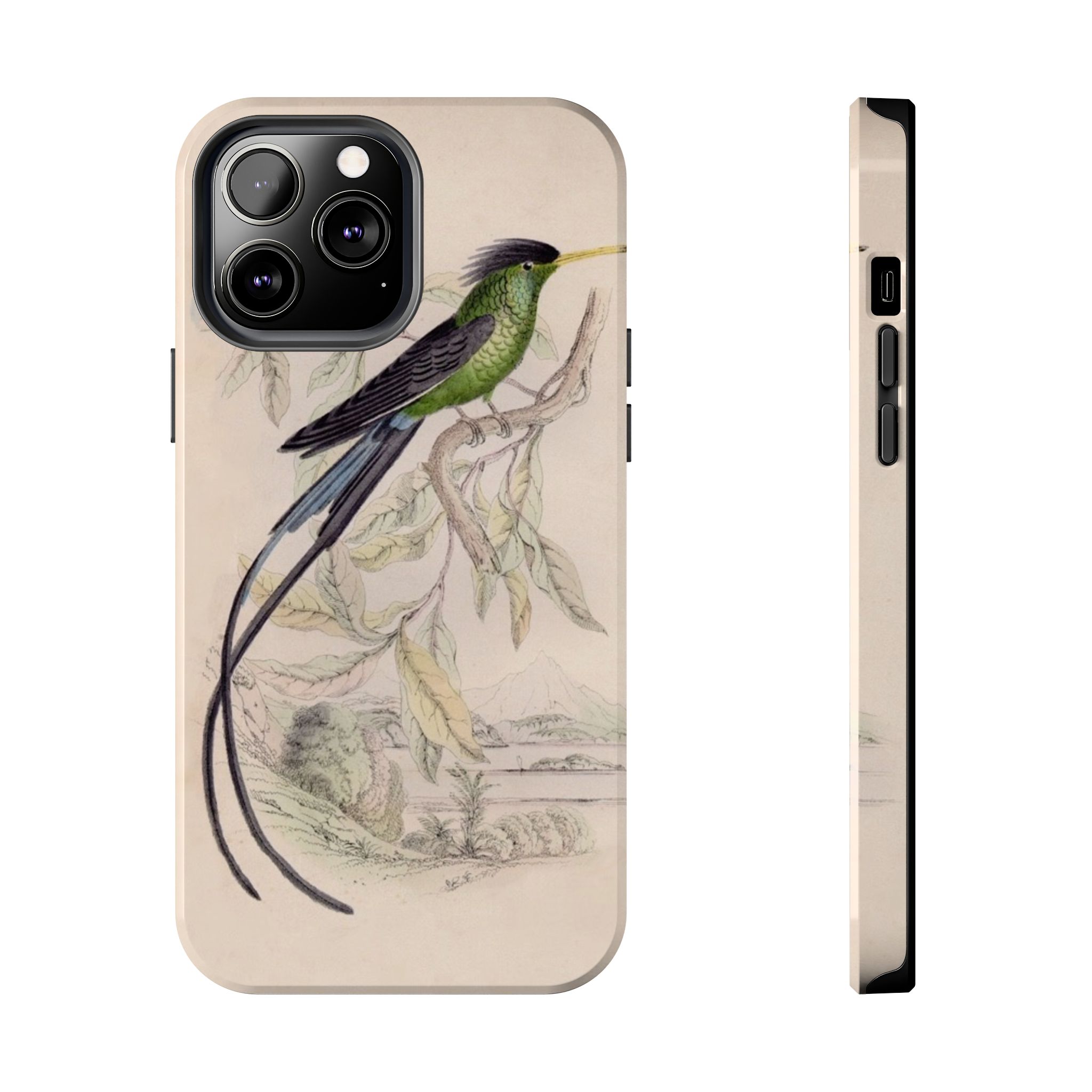 Black Capped Hummingbird Phone Case - Image 37