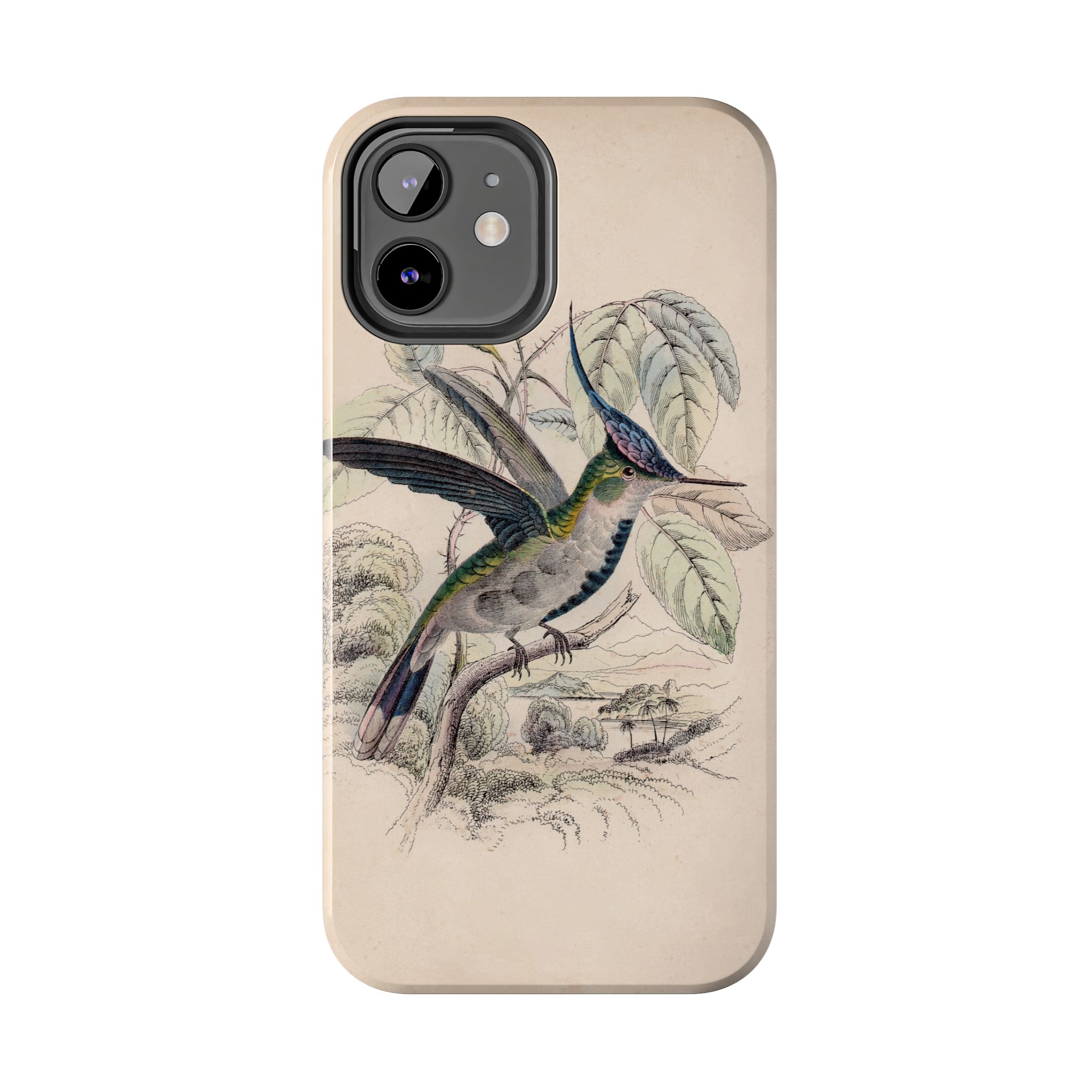 Loddiges Hummingbird Phone Case - Image 14