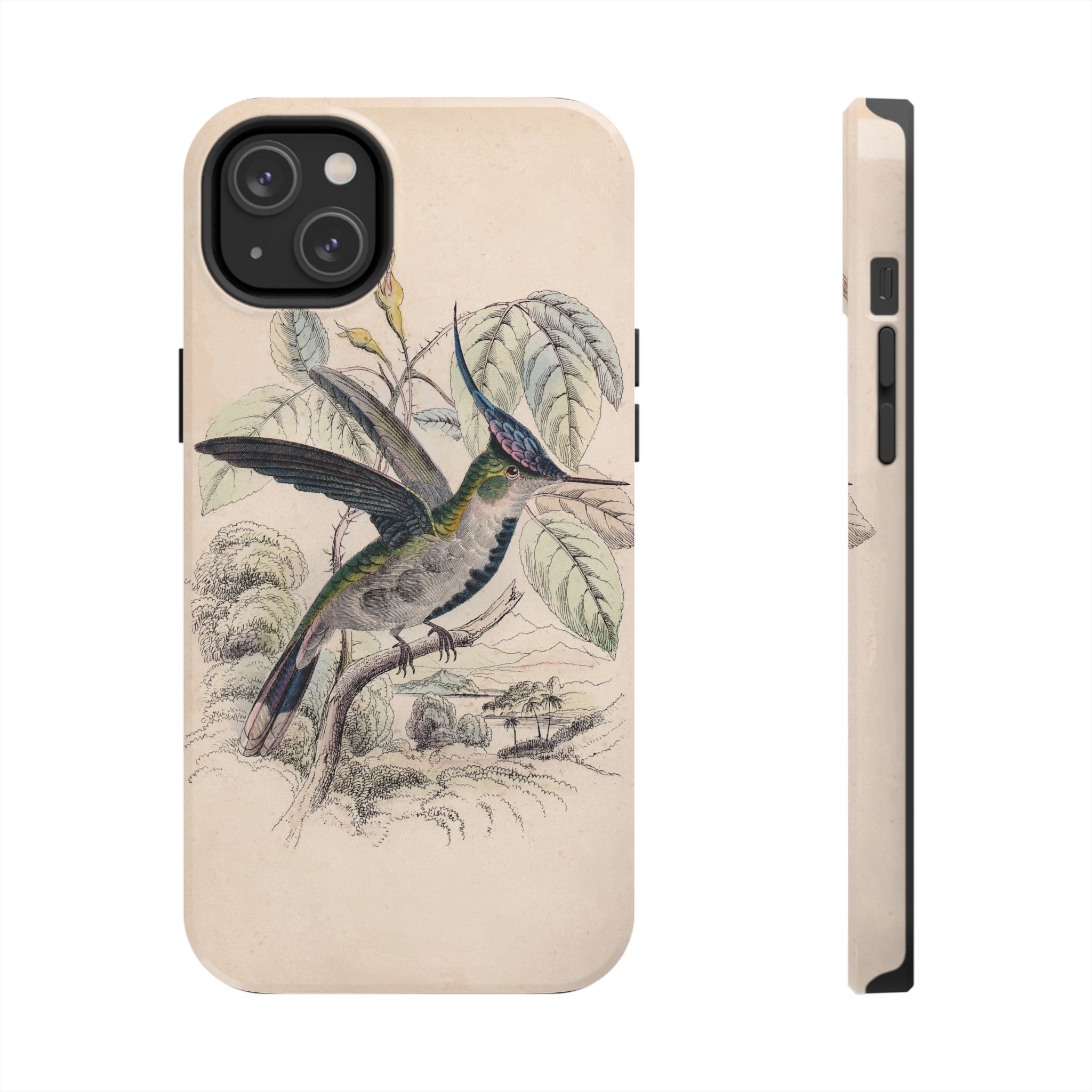Loddiges Hummingbird Phone Case - Image 51