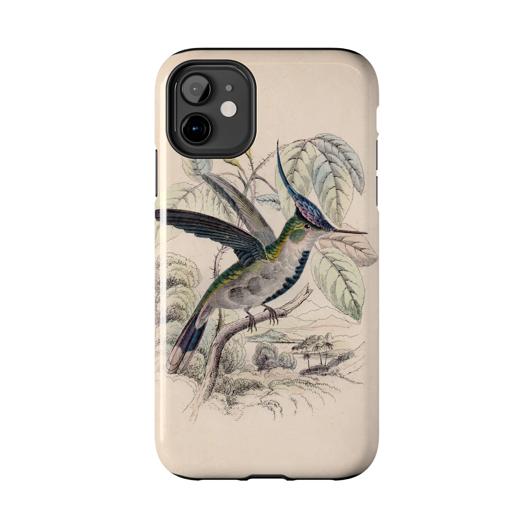 Loddiges Hummingbird Phone Case - Image 2