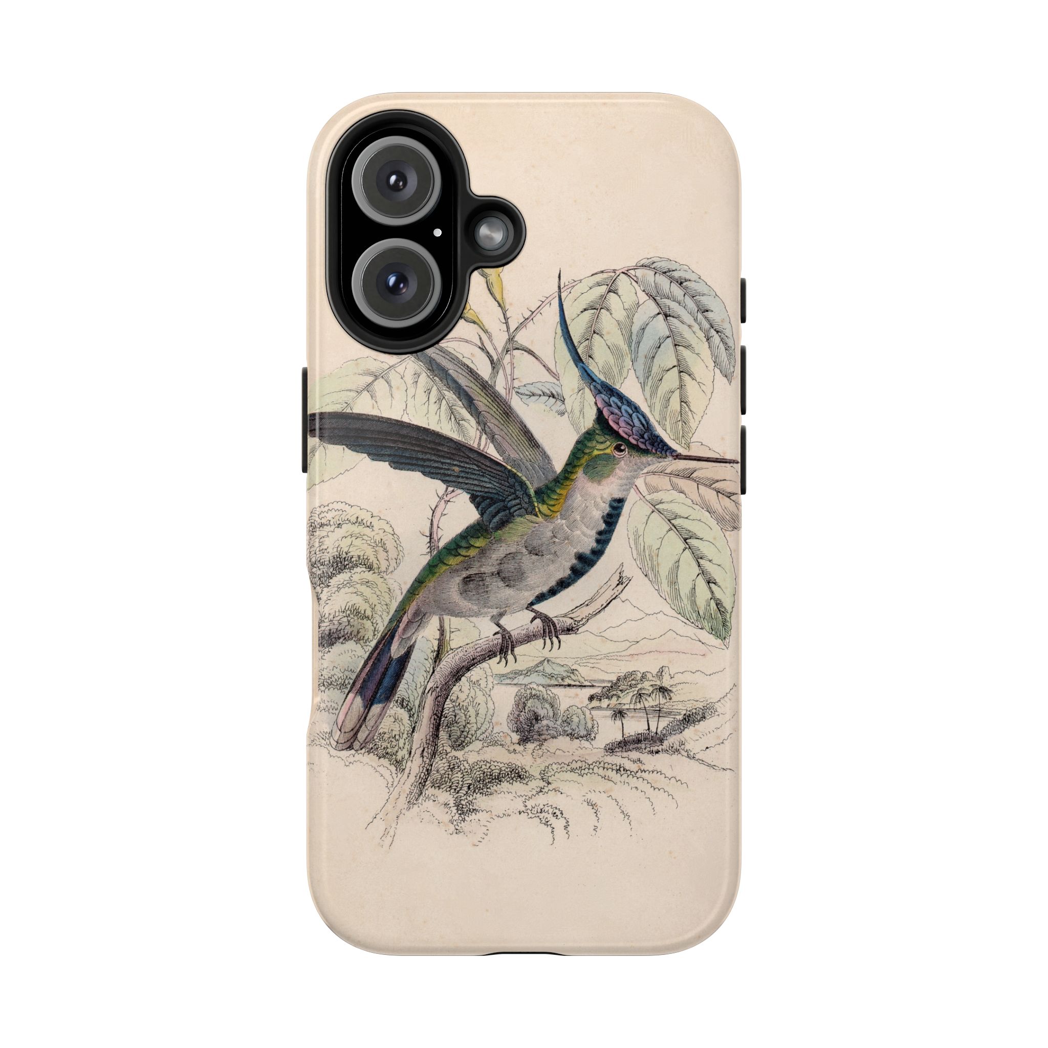 Loddiges Hummingbird Phone Case - Image 91