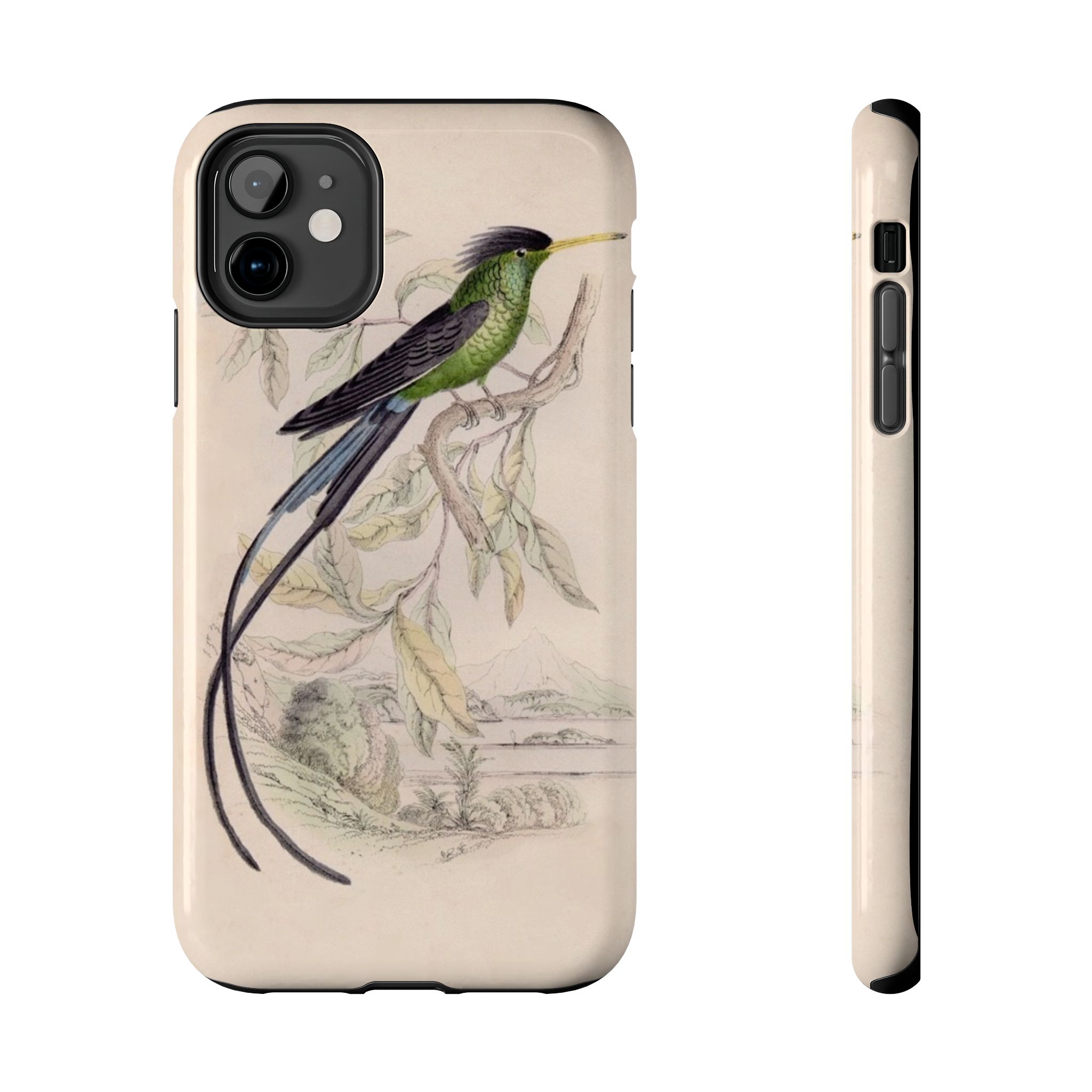 Black Capped Hummingbird Phone Case