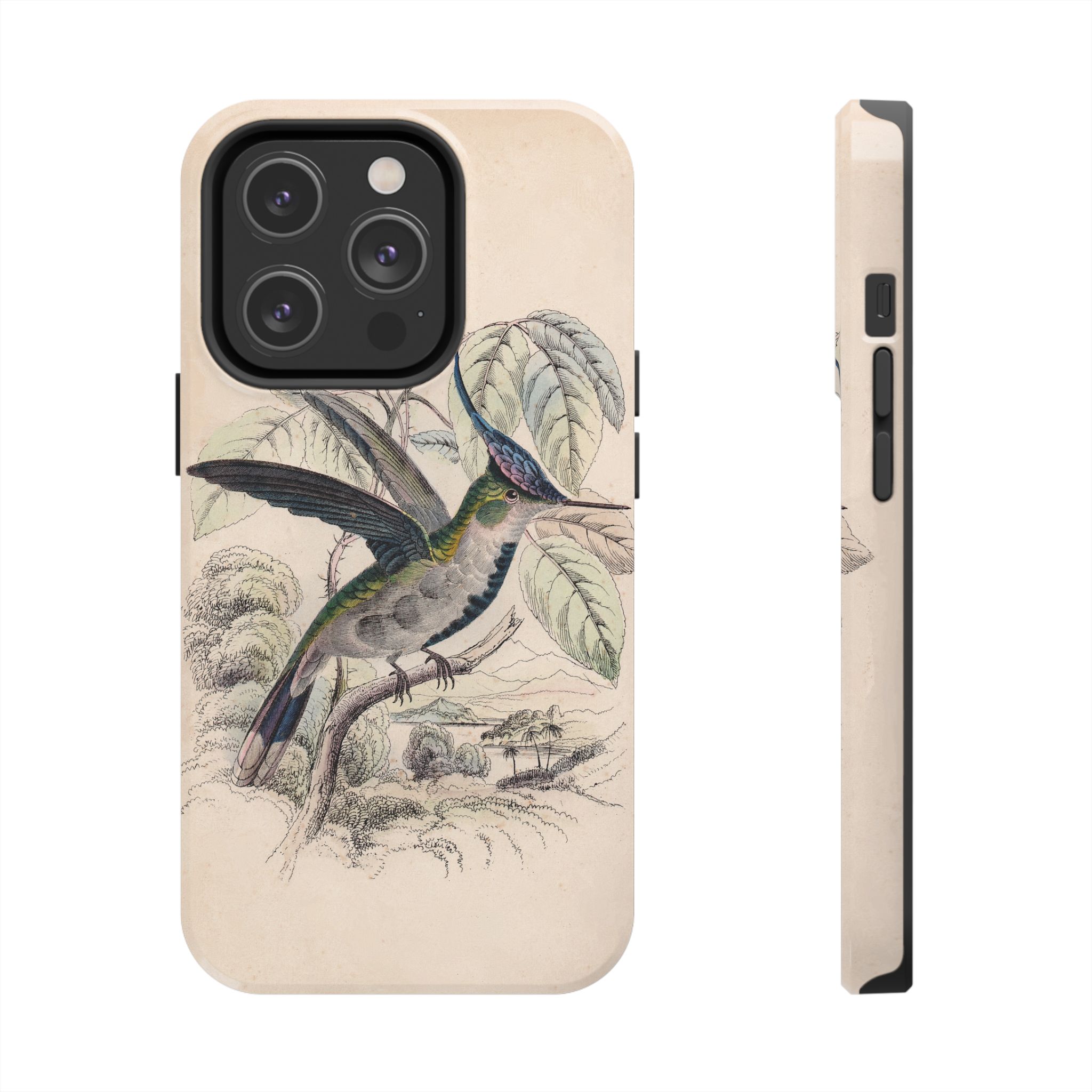 Loddiges Hummingbird Phone Case - Image 47