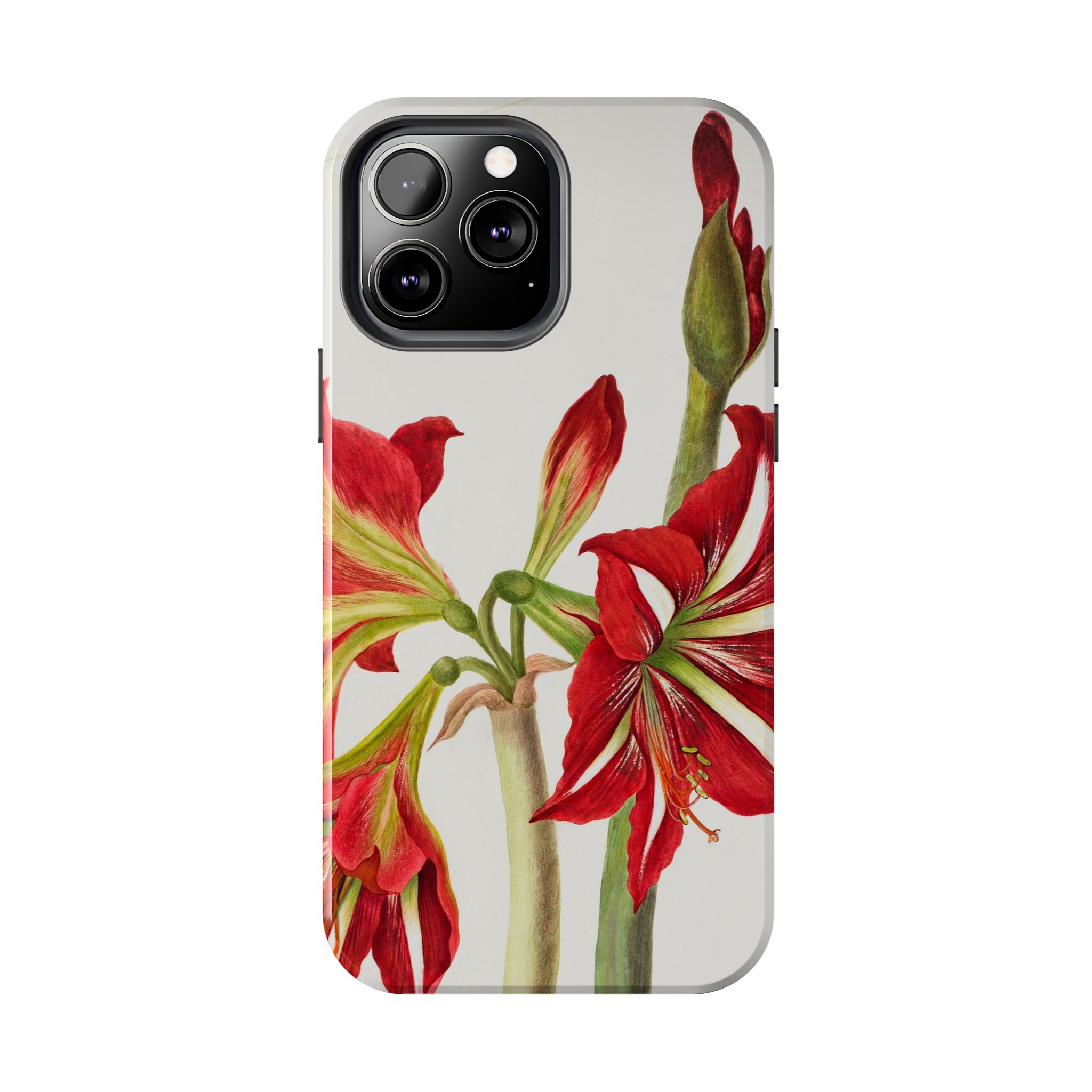 Amaryllis Phone Case - Image 42