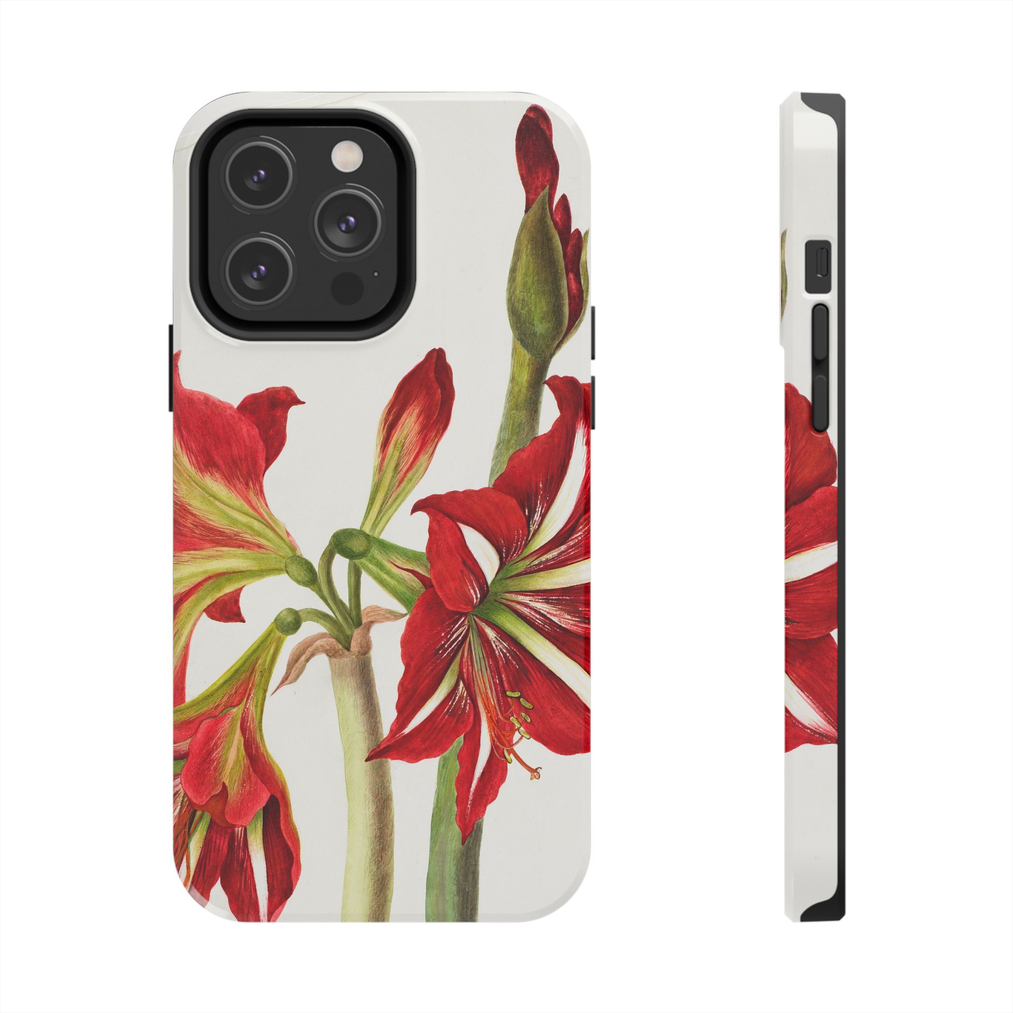 Amaryllis Phone Case - Image 49
