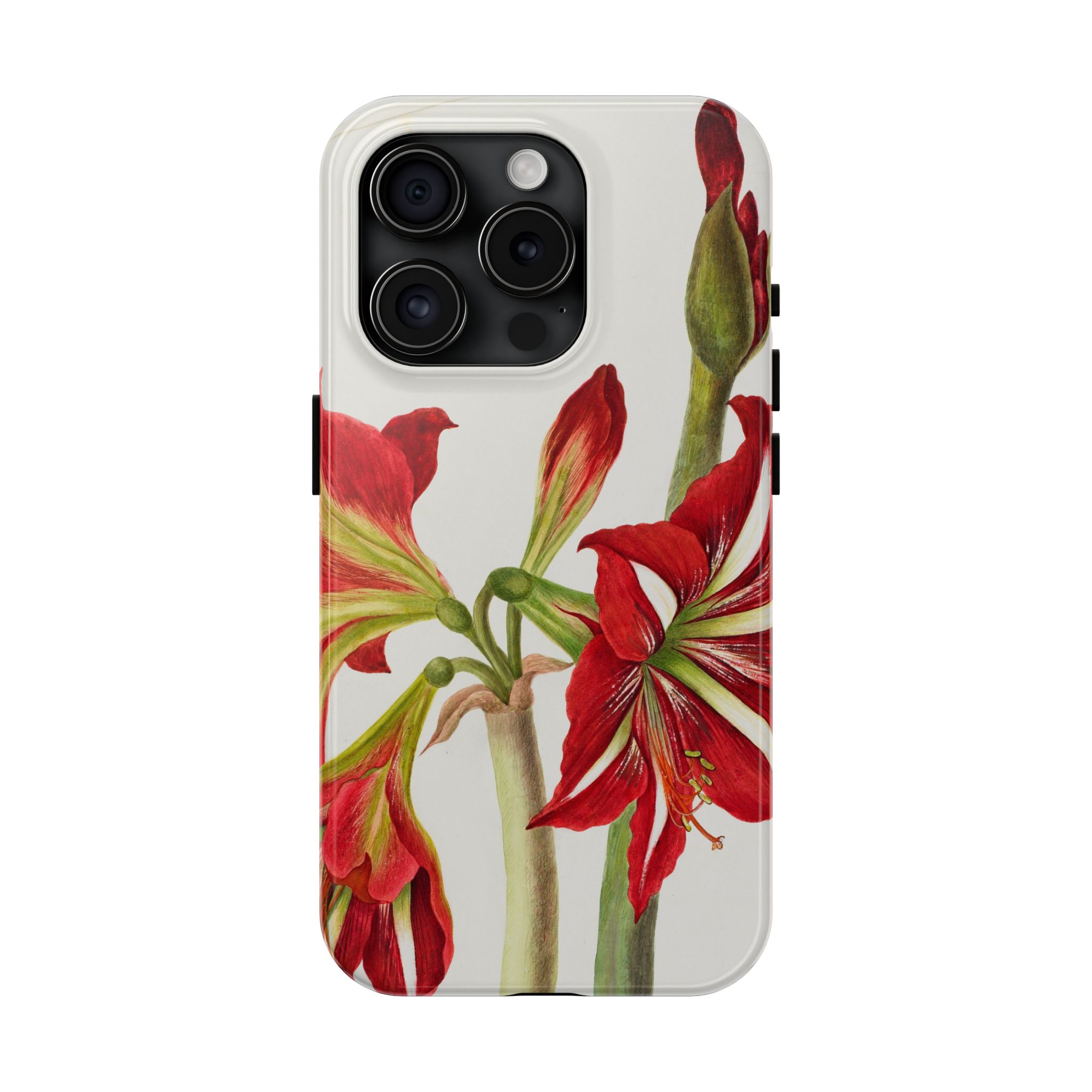 Amaryllis Phone Case - Image 57