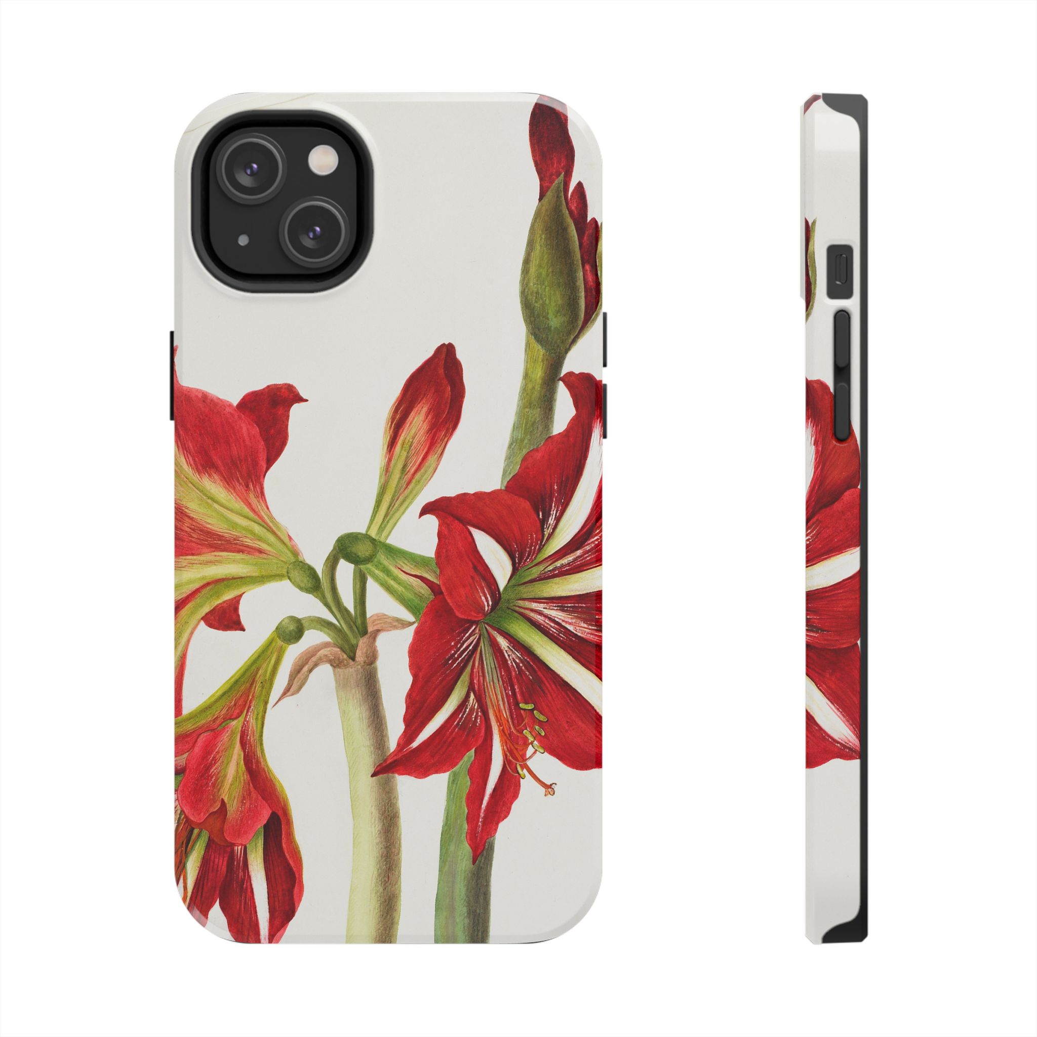 Amaryllis Phone Case - Image 51