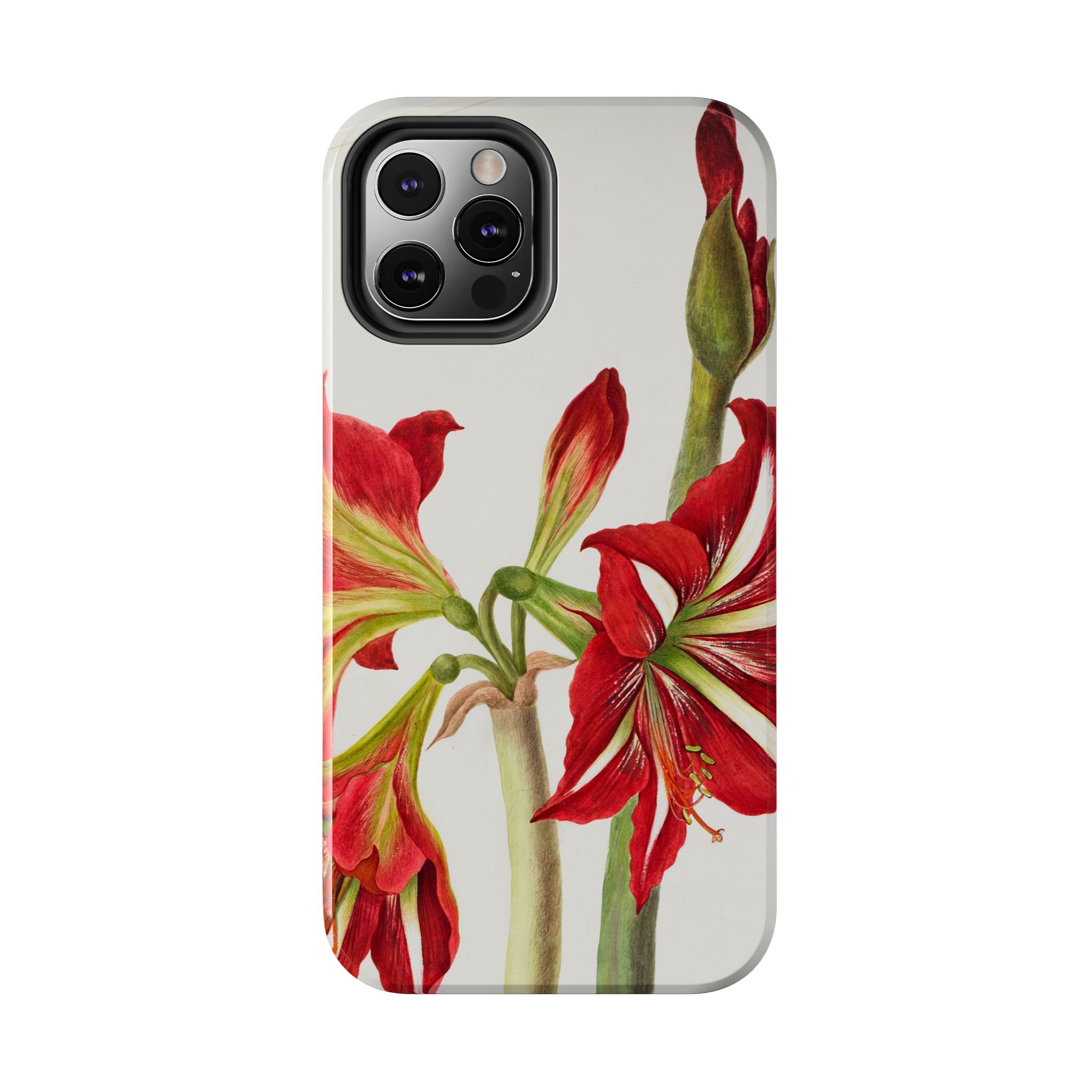 Amaryllis Phone Case - Image 22