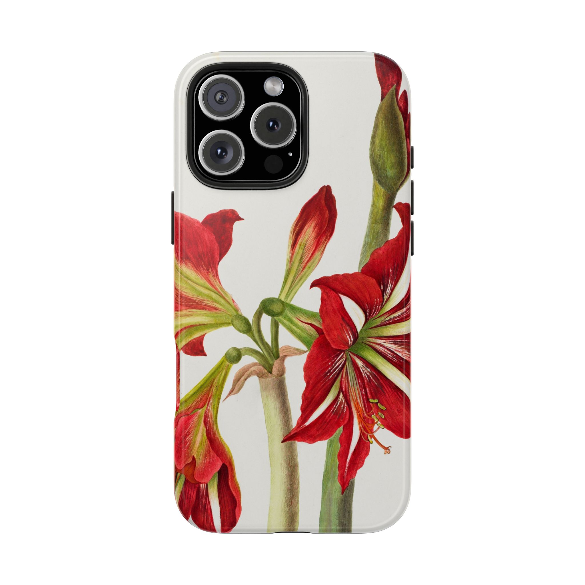 Amaryllis Phone Case - Image 72