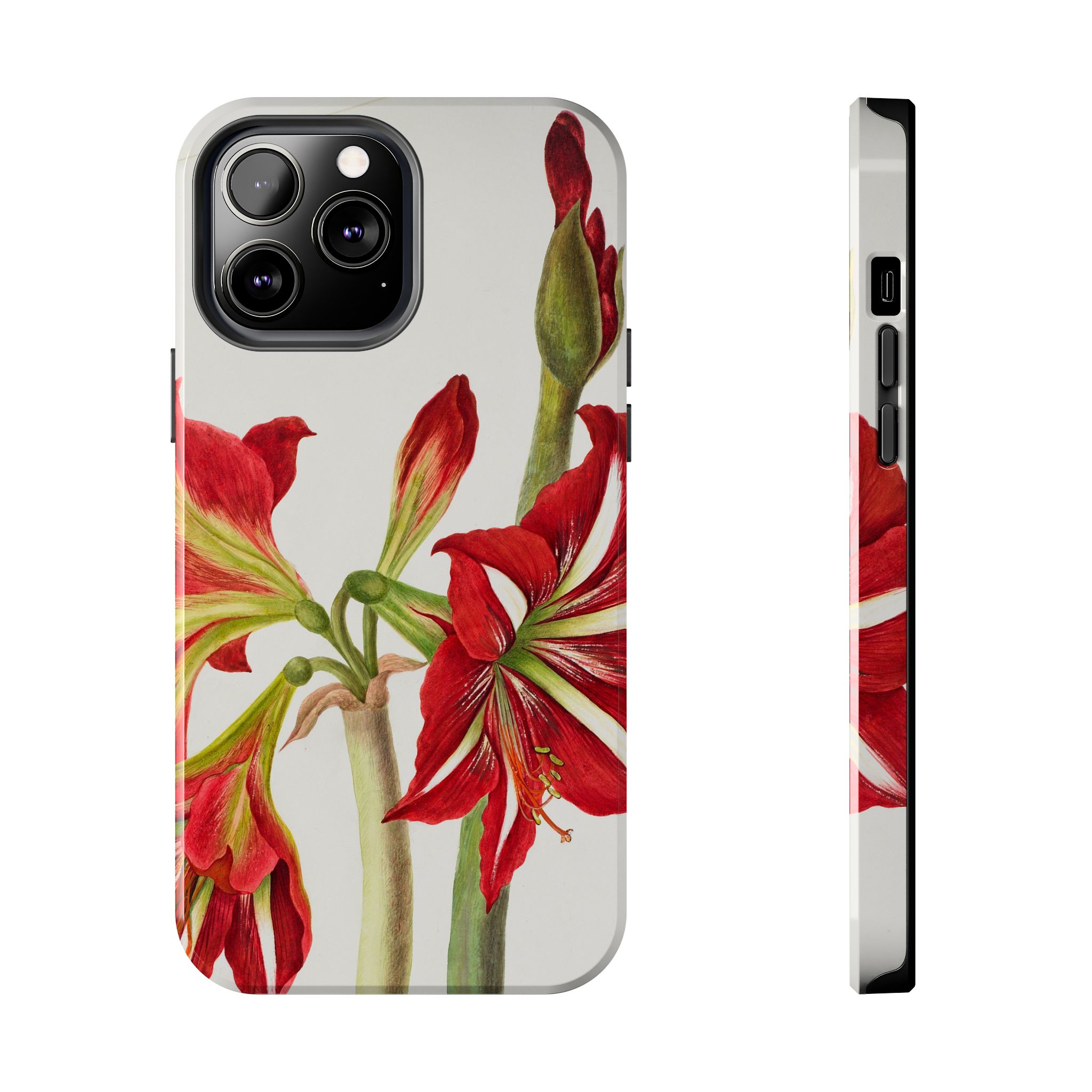 Amaryllis Phone Case - Image 41