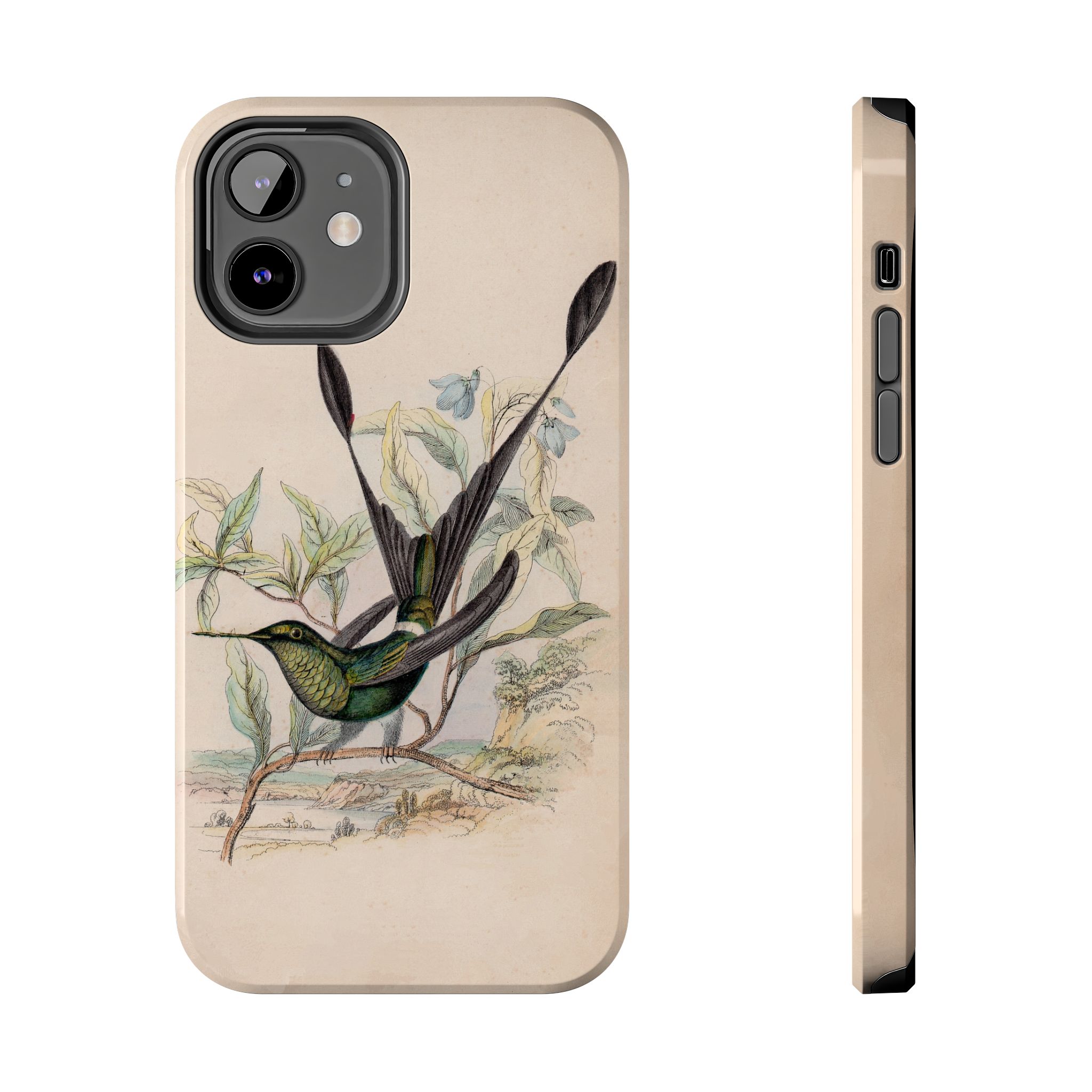 Racket Tailed Hummingbird Phone Case - Image 13