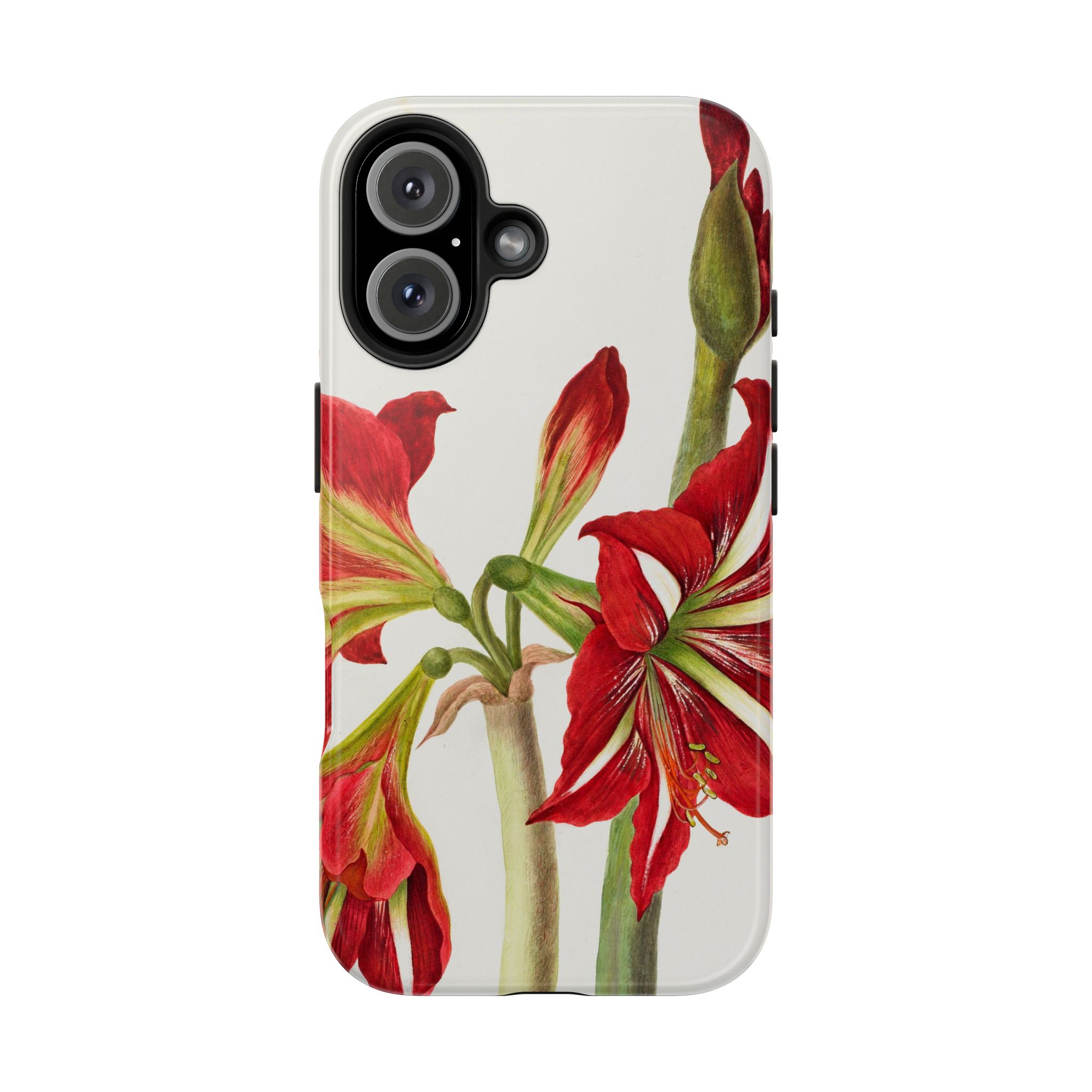 Amaryllis Phone Case - Image 75