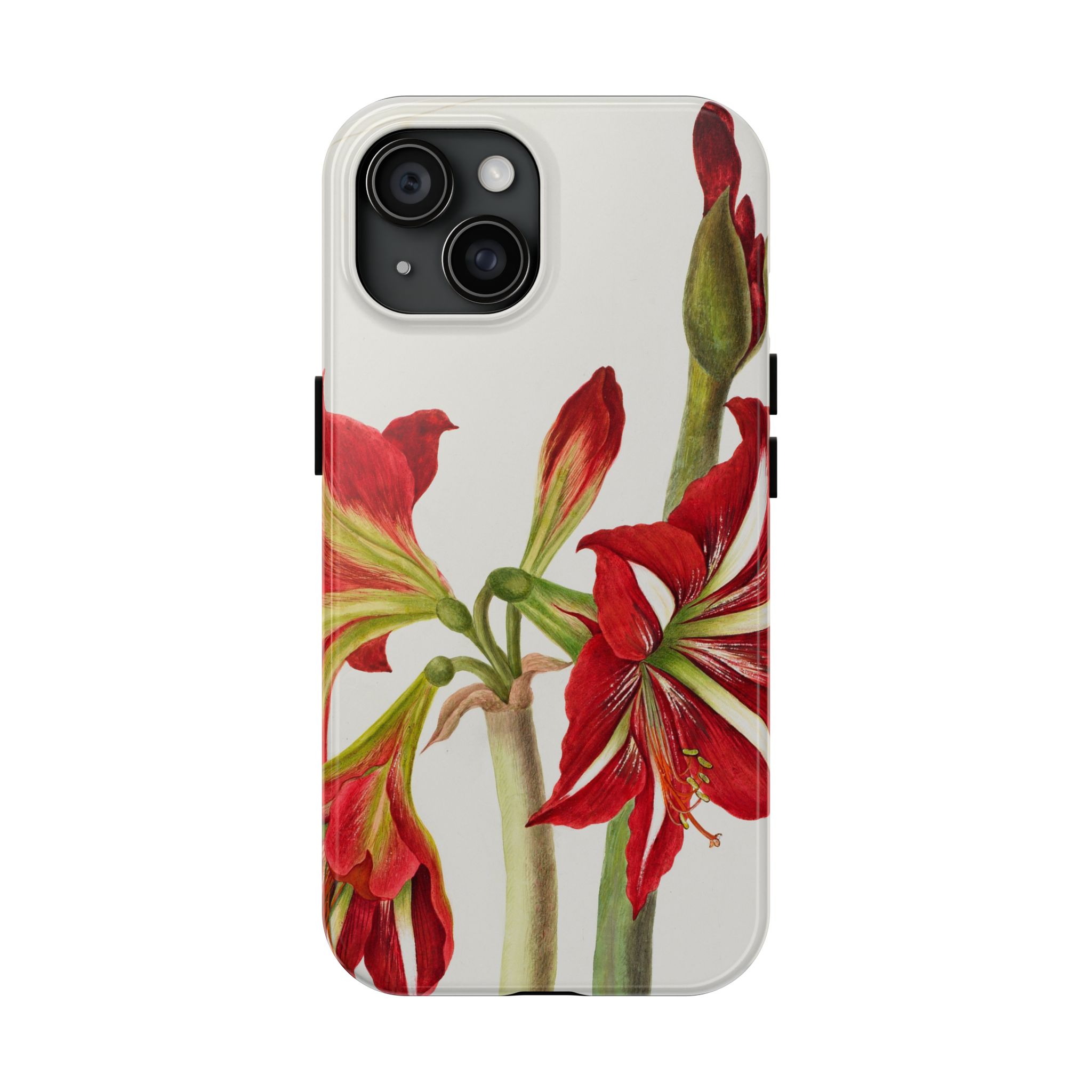 Amaryllis Phone Case - Image 53