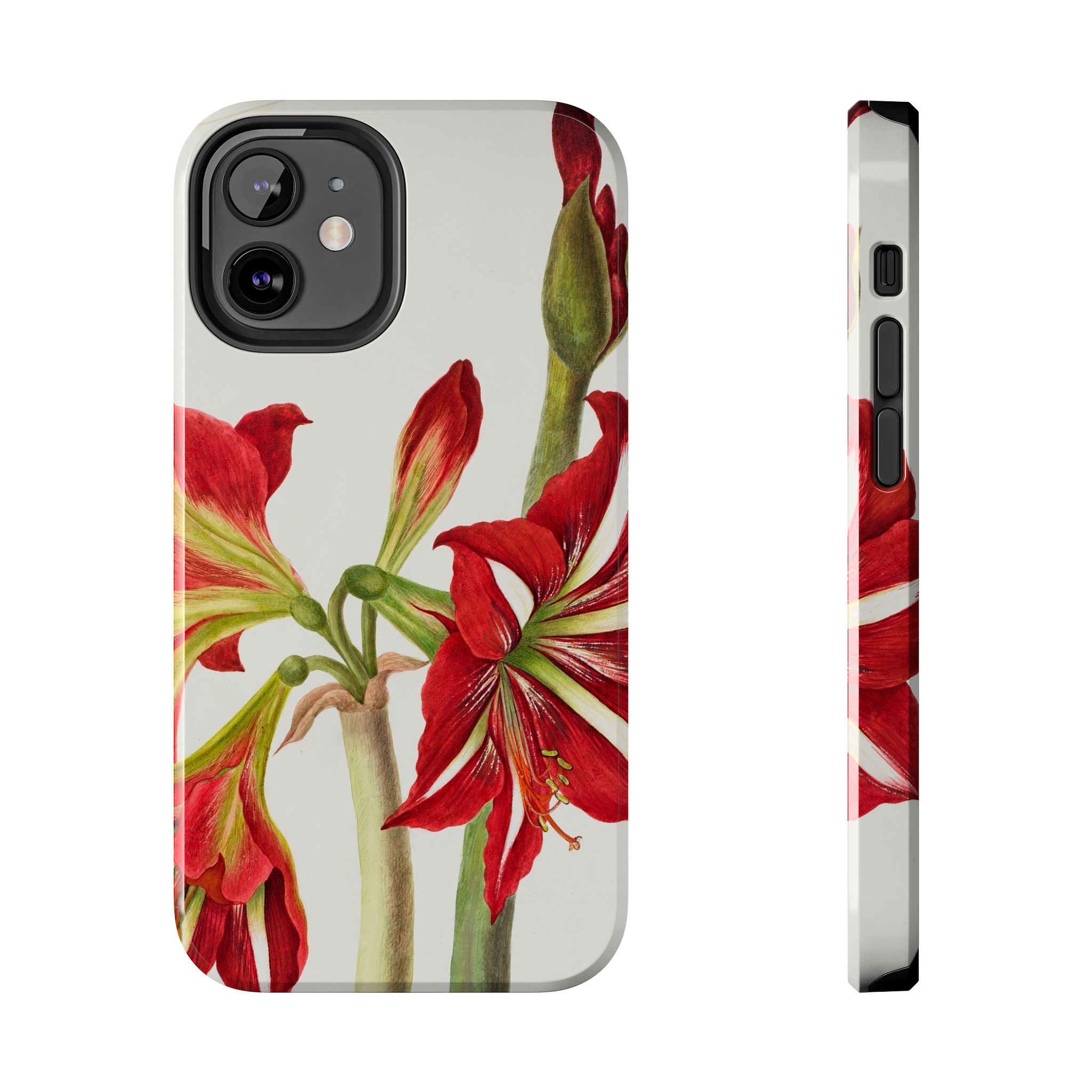 Amaryllis Phone Case - Image 17