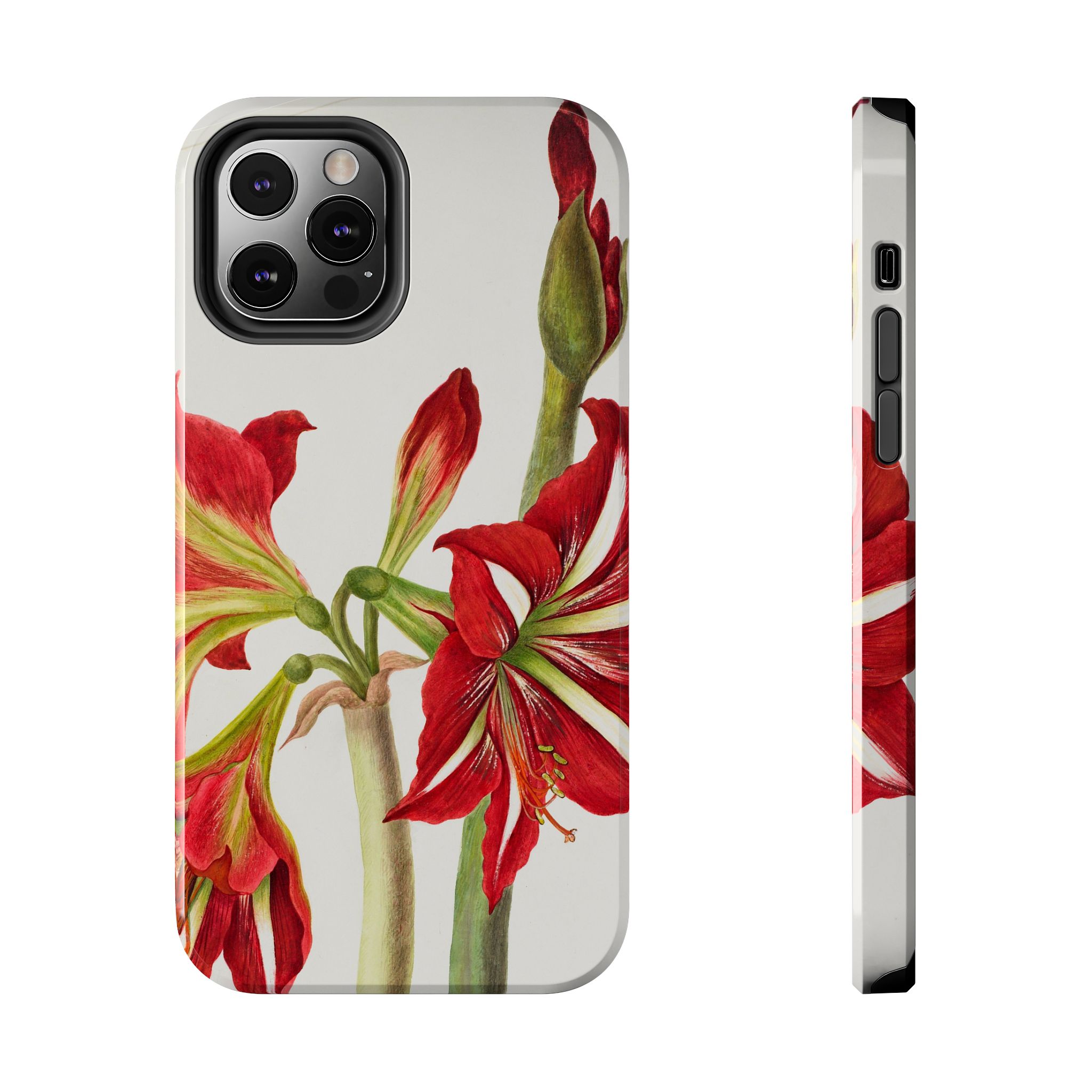 Amaryllis Phone Case - Image 21
