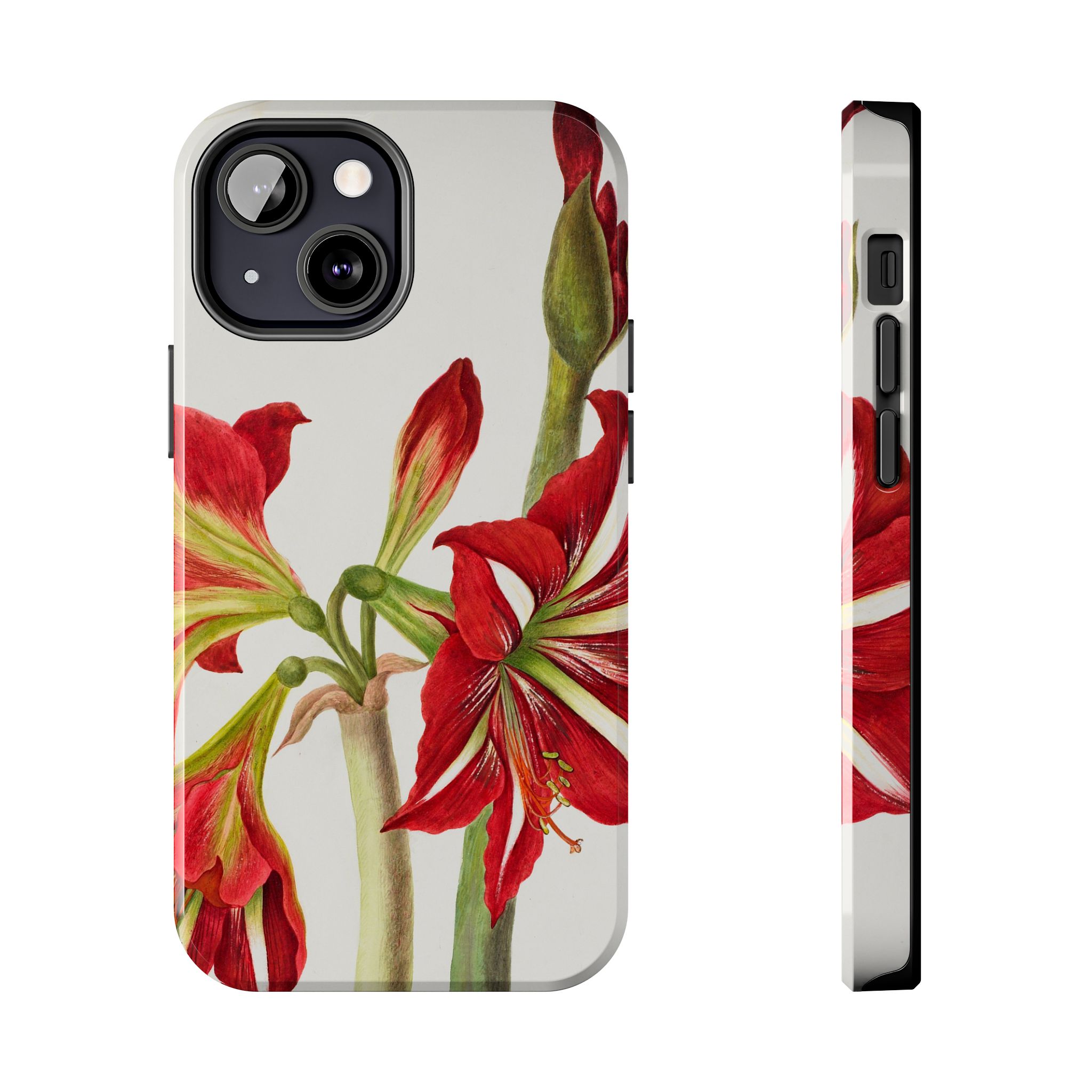 Amaryllis Phone Case - Image 33