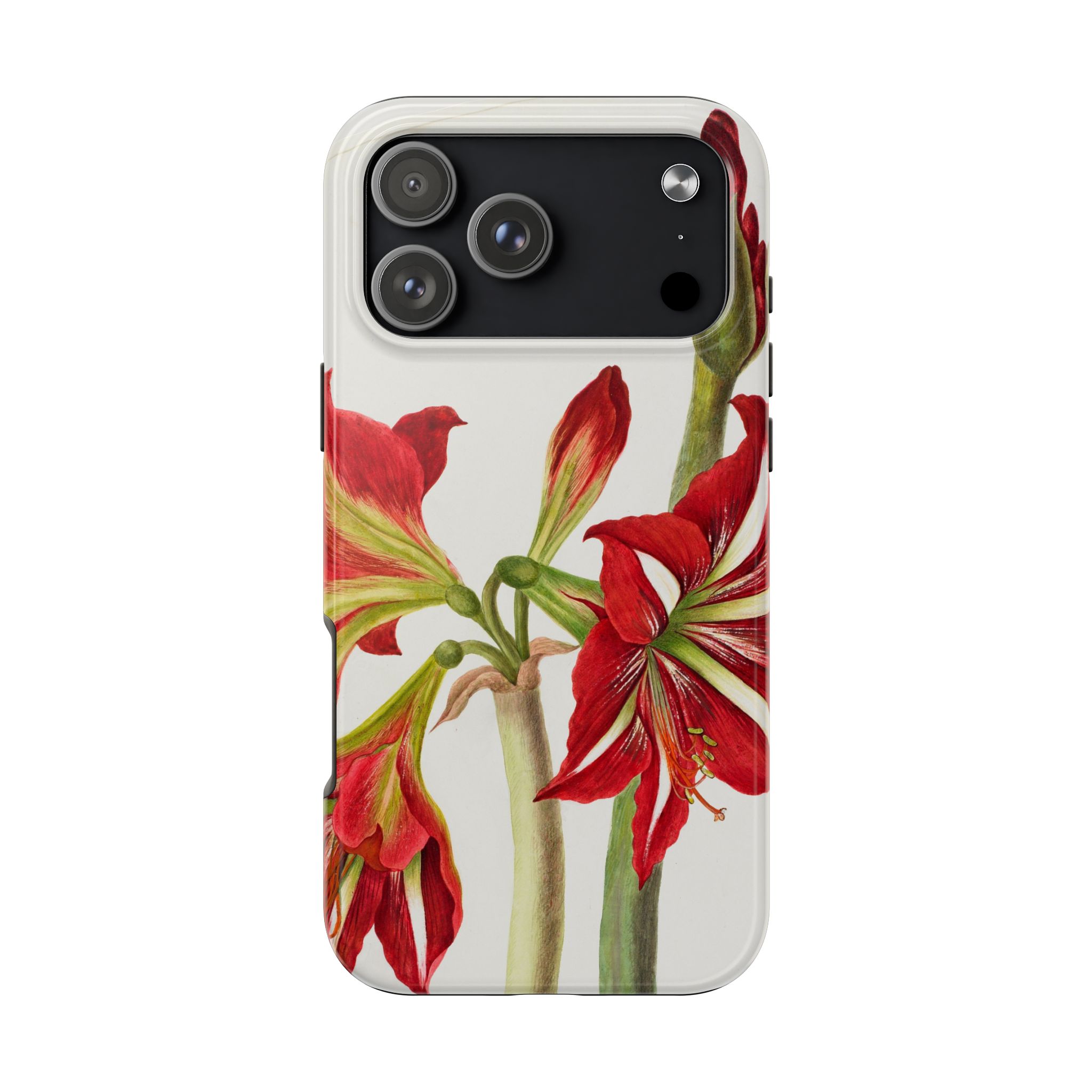 Amaryllis Phone Case - Image 98