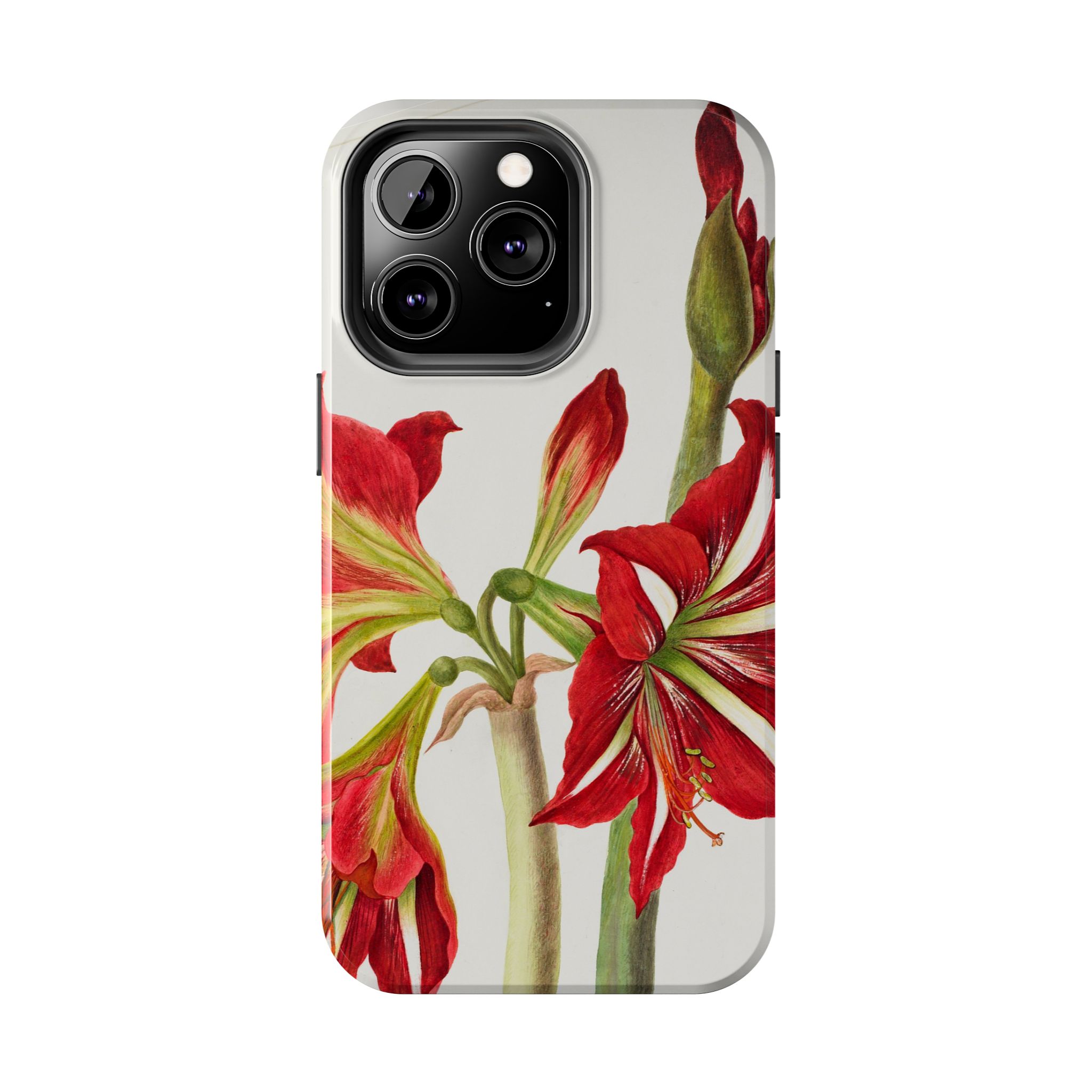 Amaryllis Phone Case - Image 38