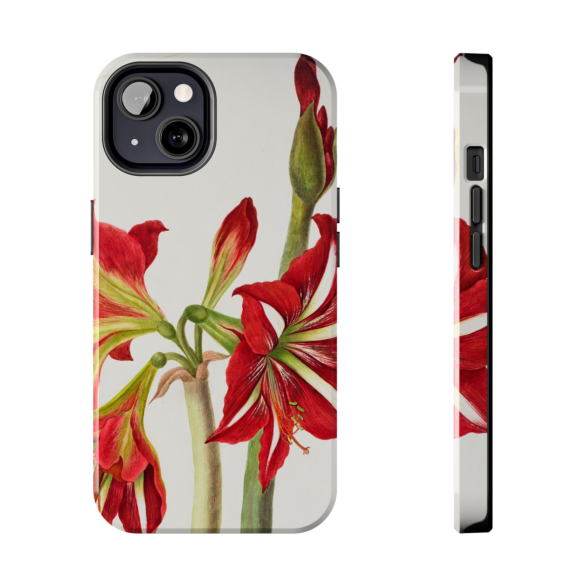 Amaryllis Phone Case - Image 29