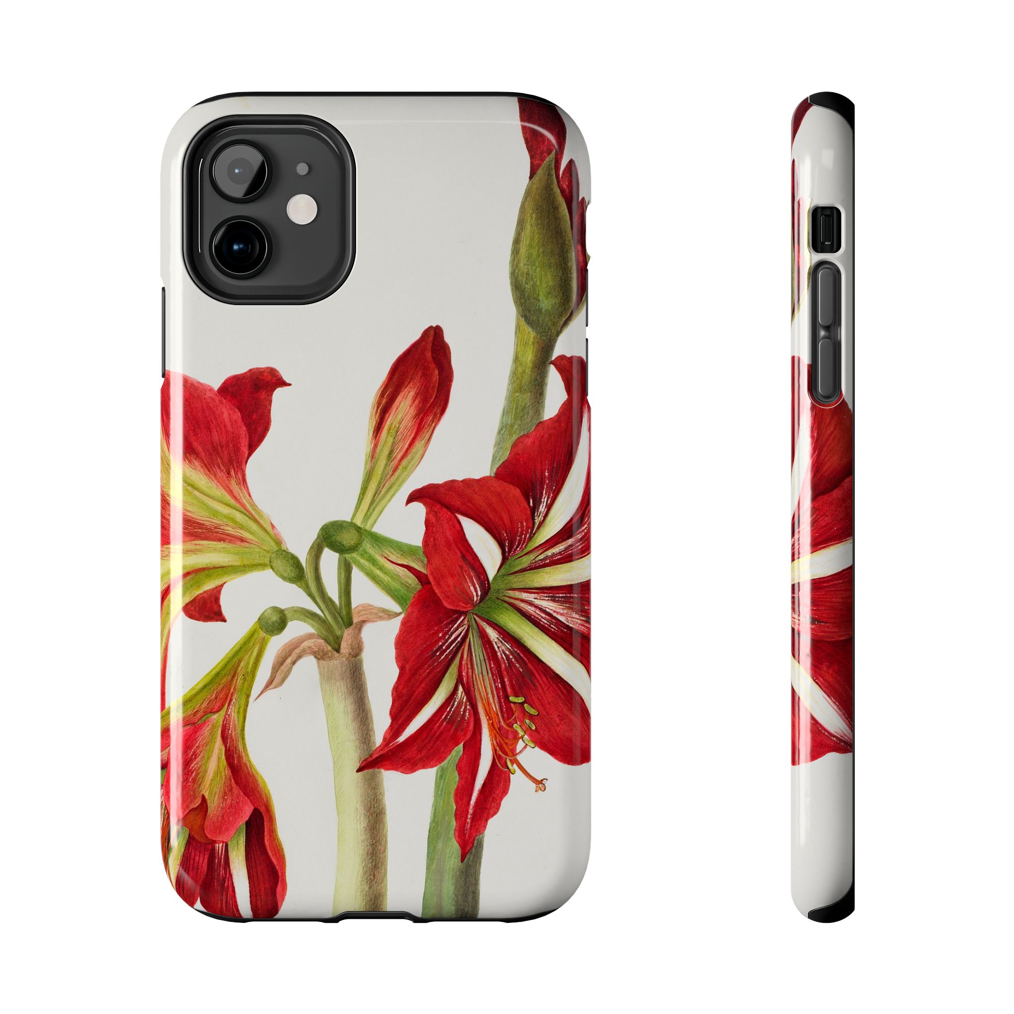 Amaryllis Phone Case